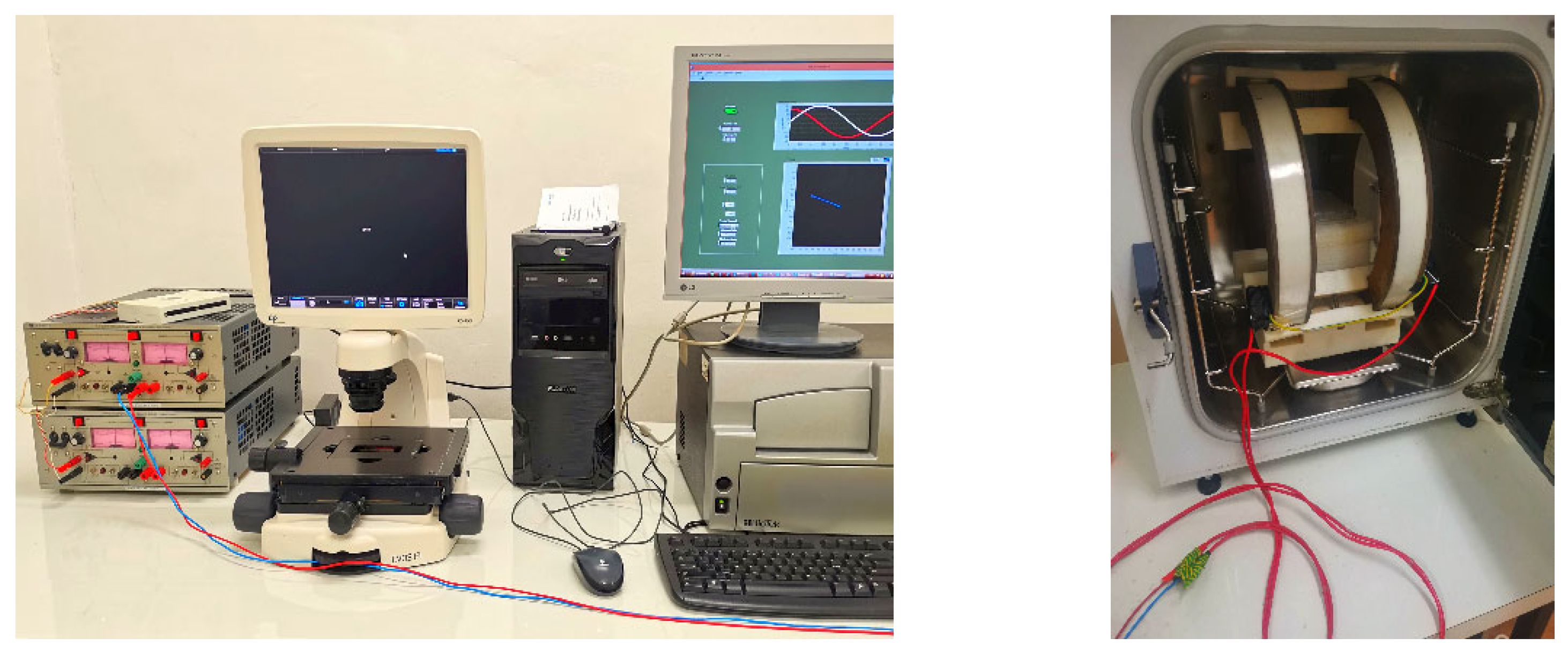 Coatings 13 00406 g001 550