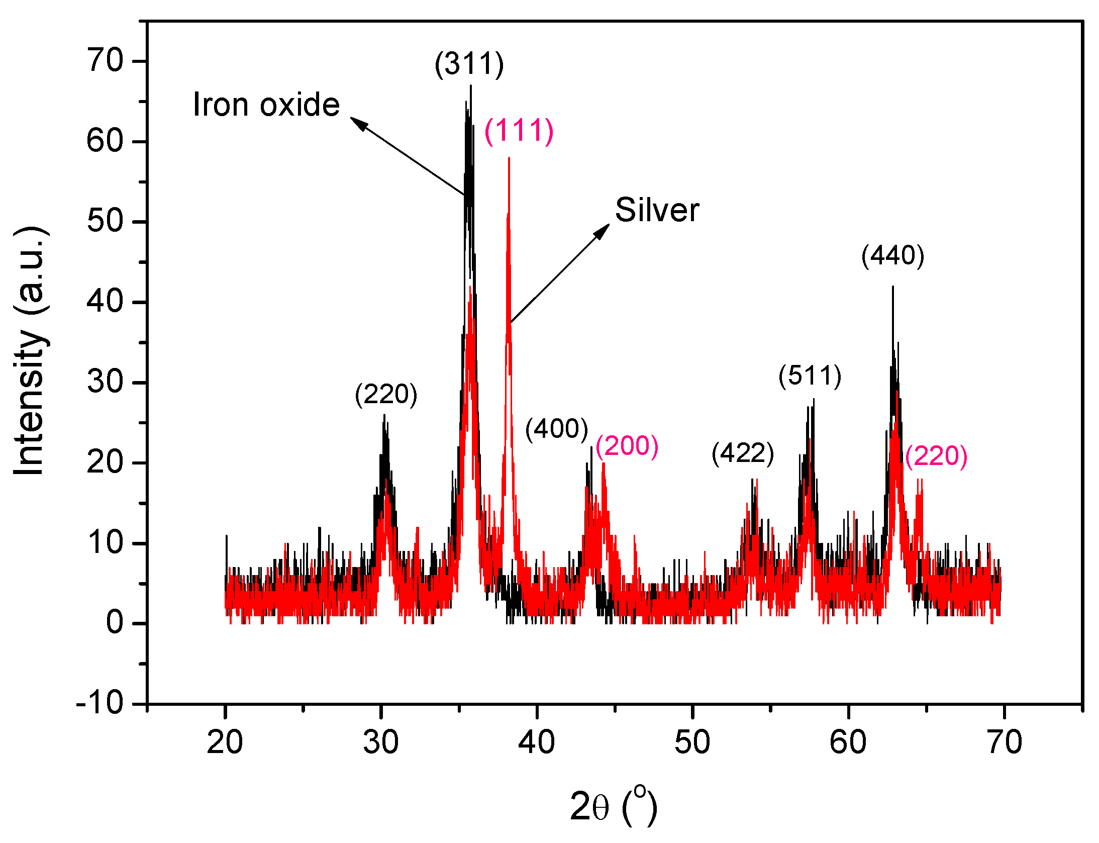 Coatings 13 00406 g002 550