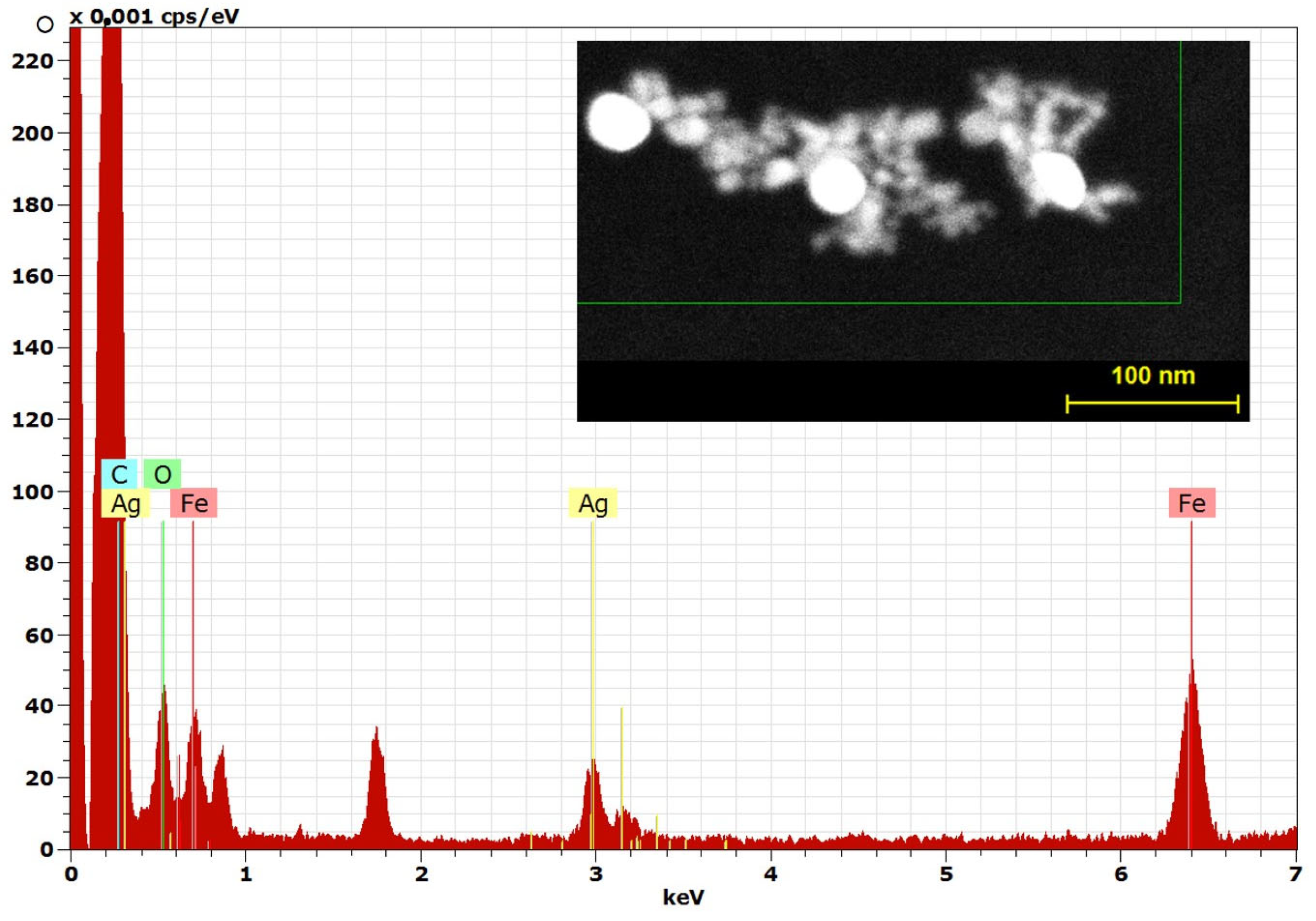 Coatings 13 00406 g004 550