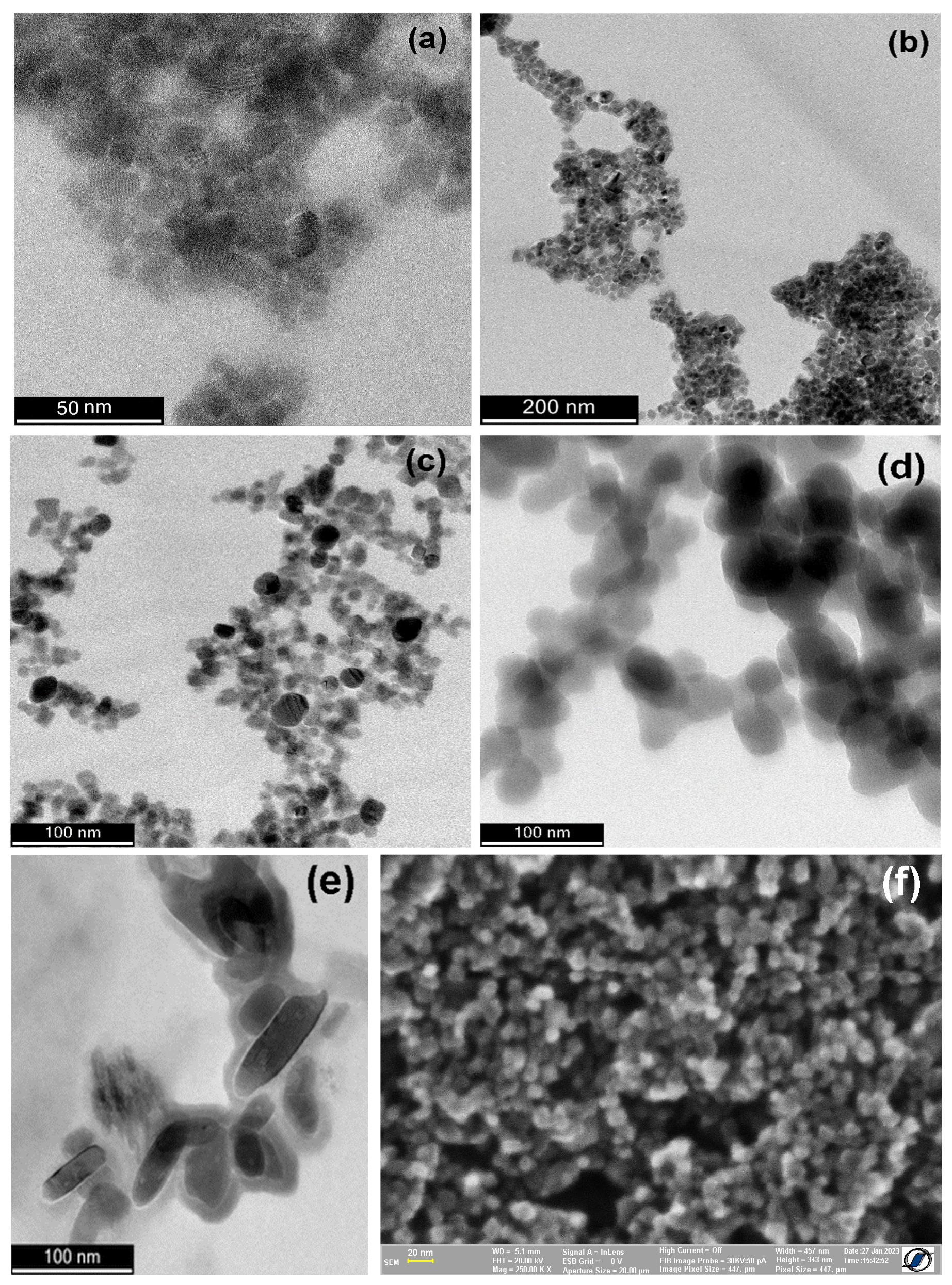 Coatings 13 00406 g007 550