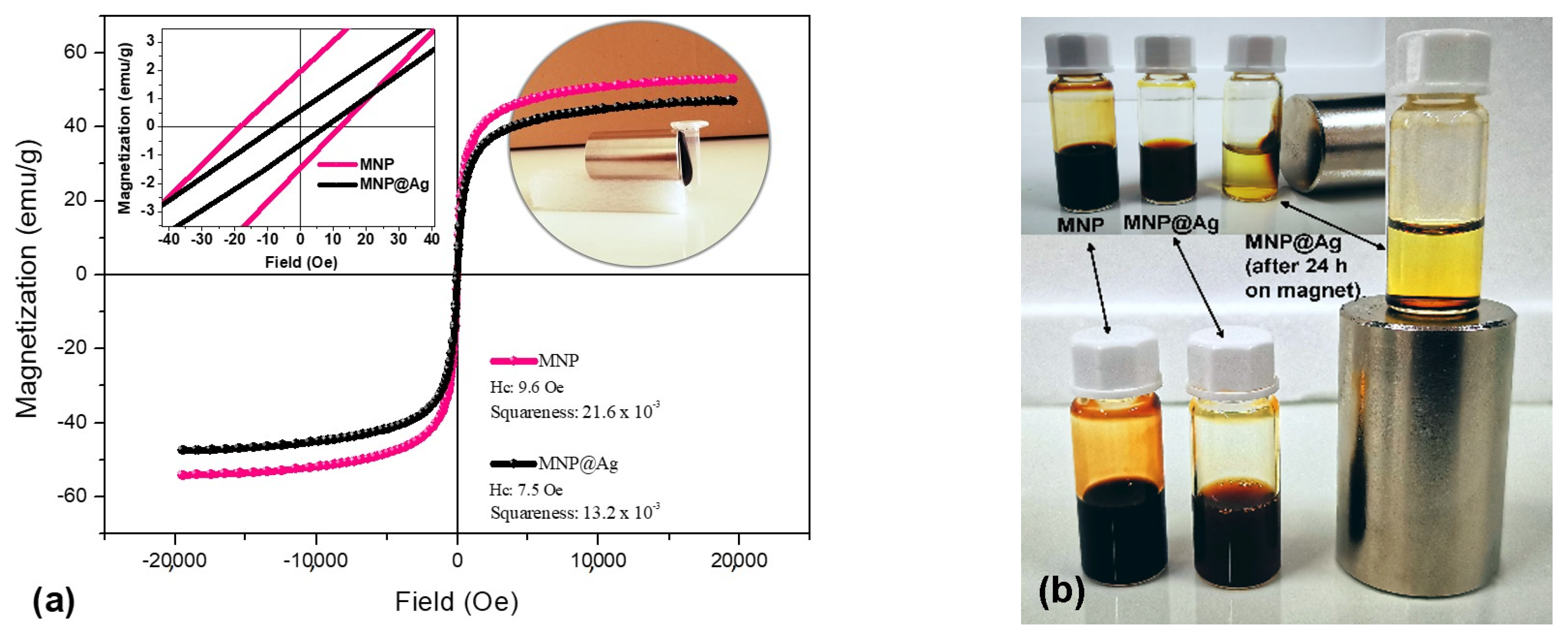Coatings 13 00406 g008 550