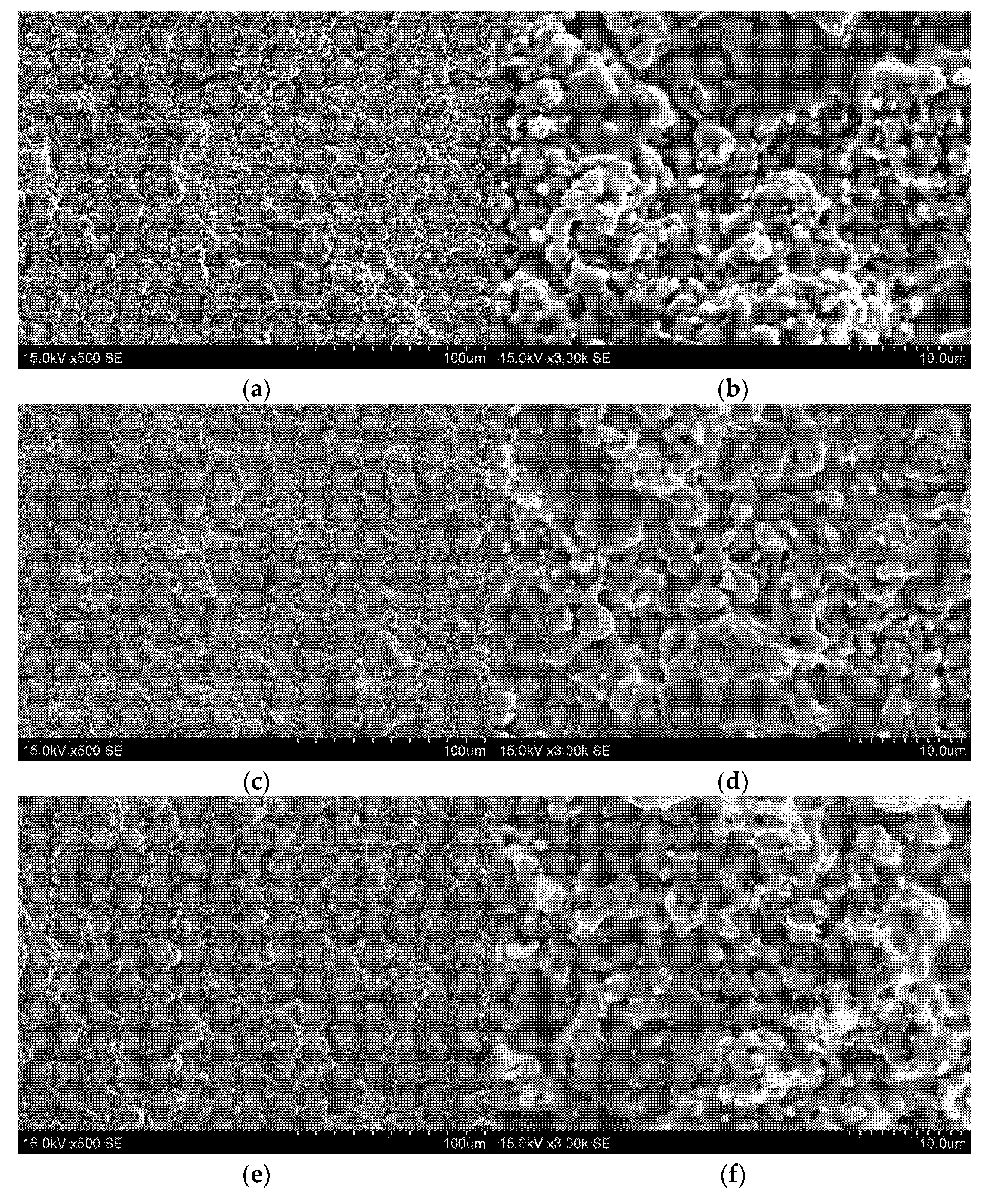 Coatings 13 00408 g001 550