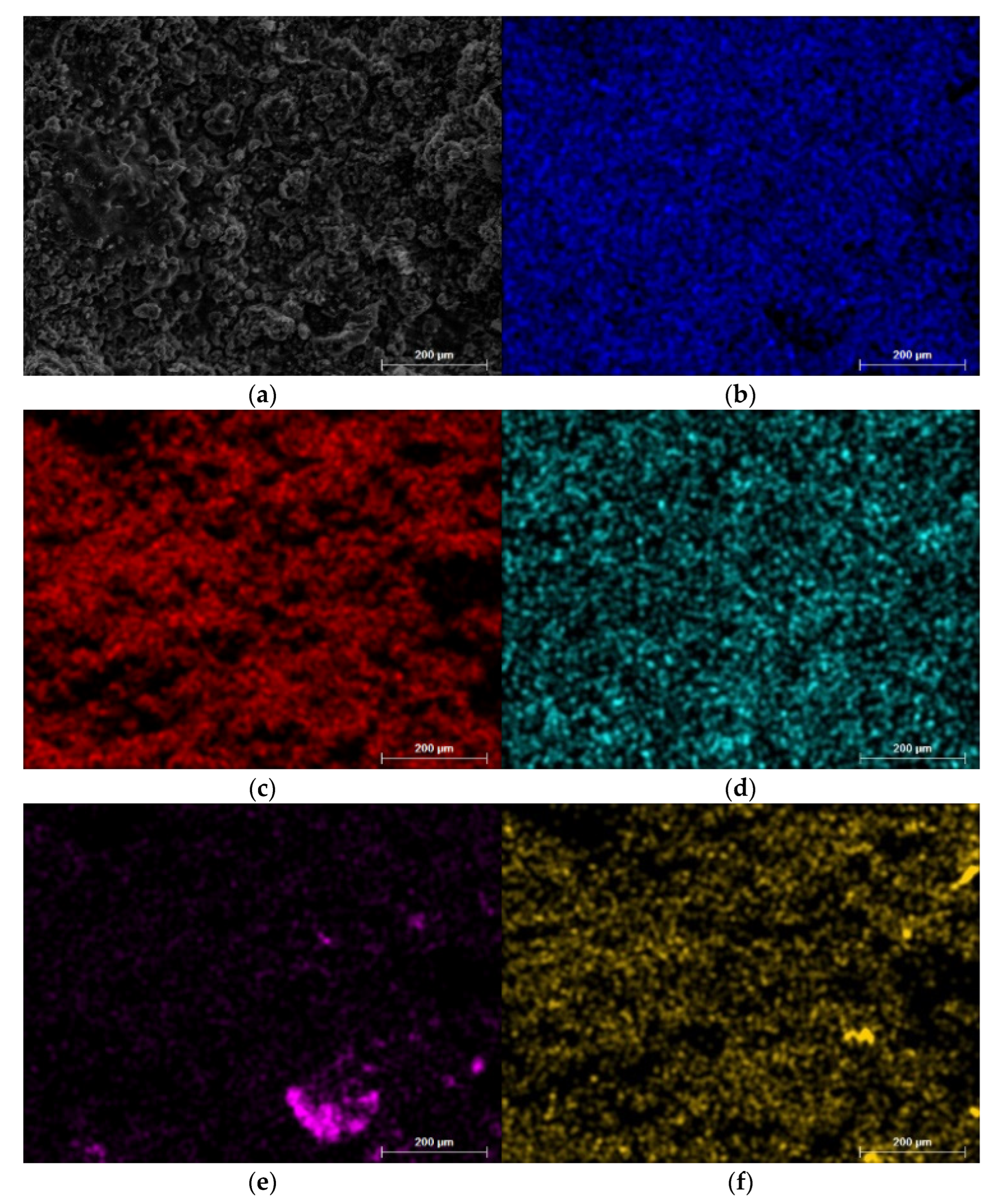 Coatings 13 00408 g003 550