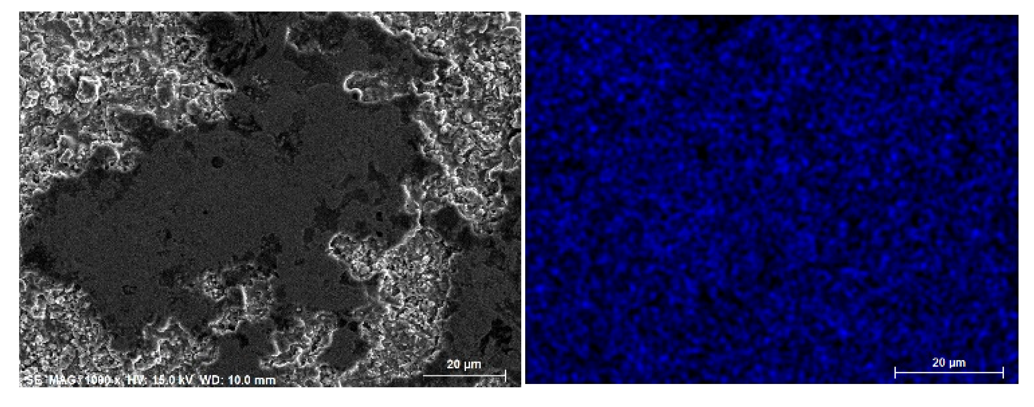 Coatings 13 00408 g010a 550