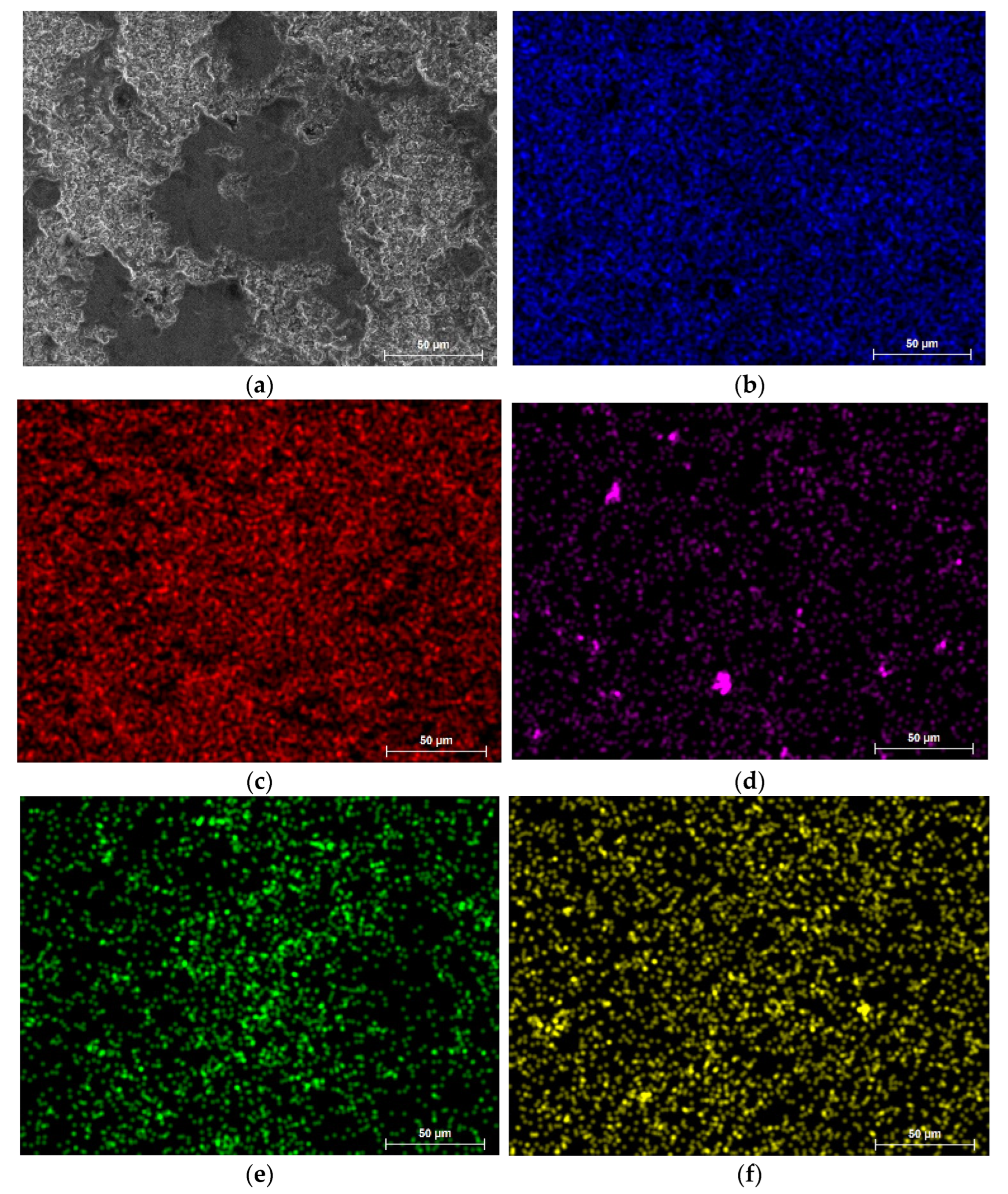 Coatings 13 00408 g011 550