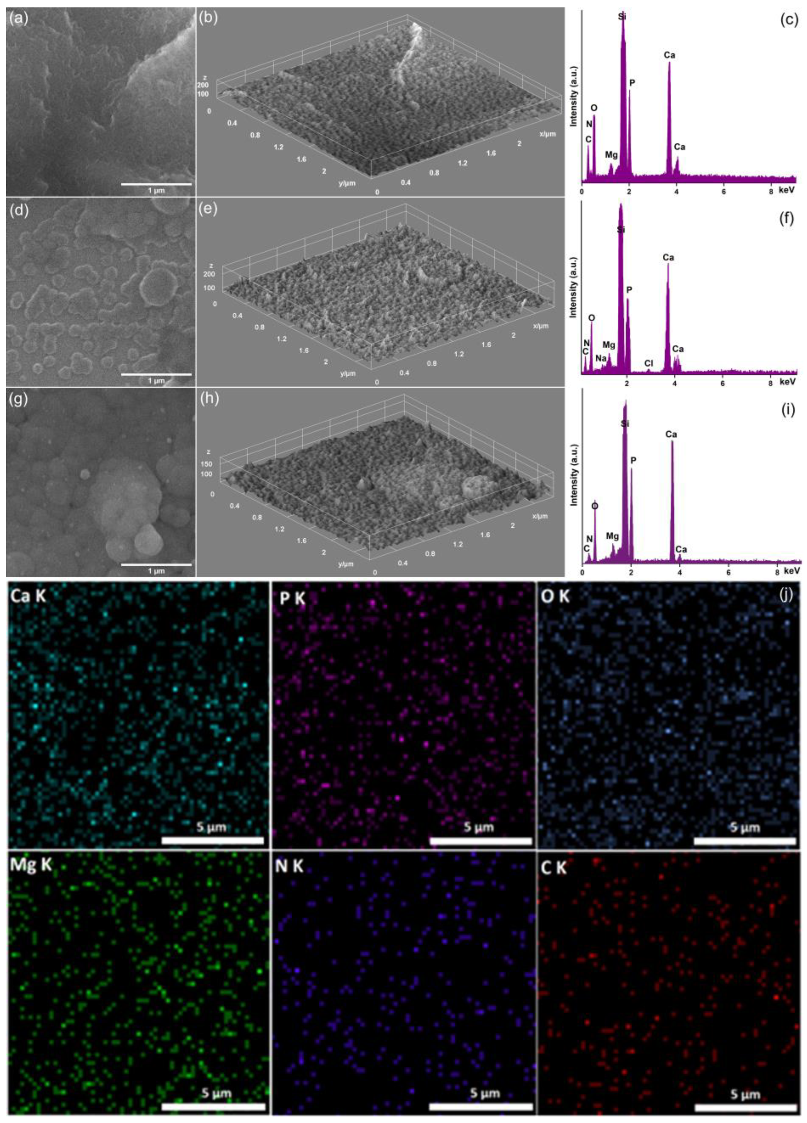 Coatings 13 00409 g004 Coatings 13 00409 g004