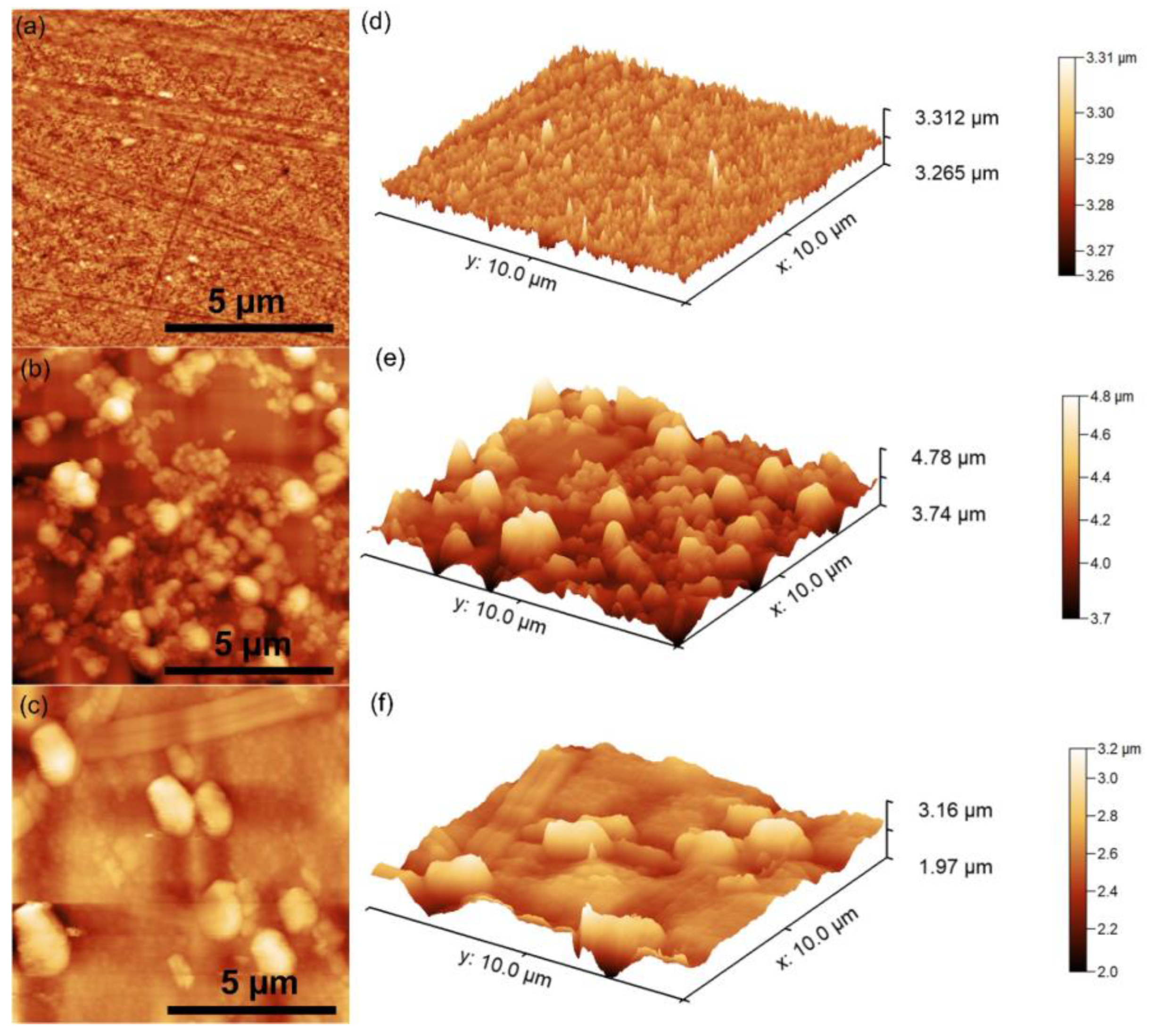 Coatings 13 00409 g005 Coatings 13 00409 g005