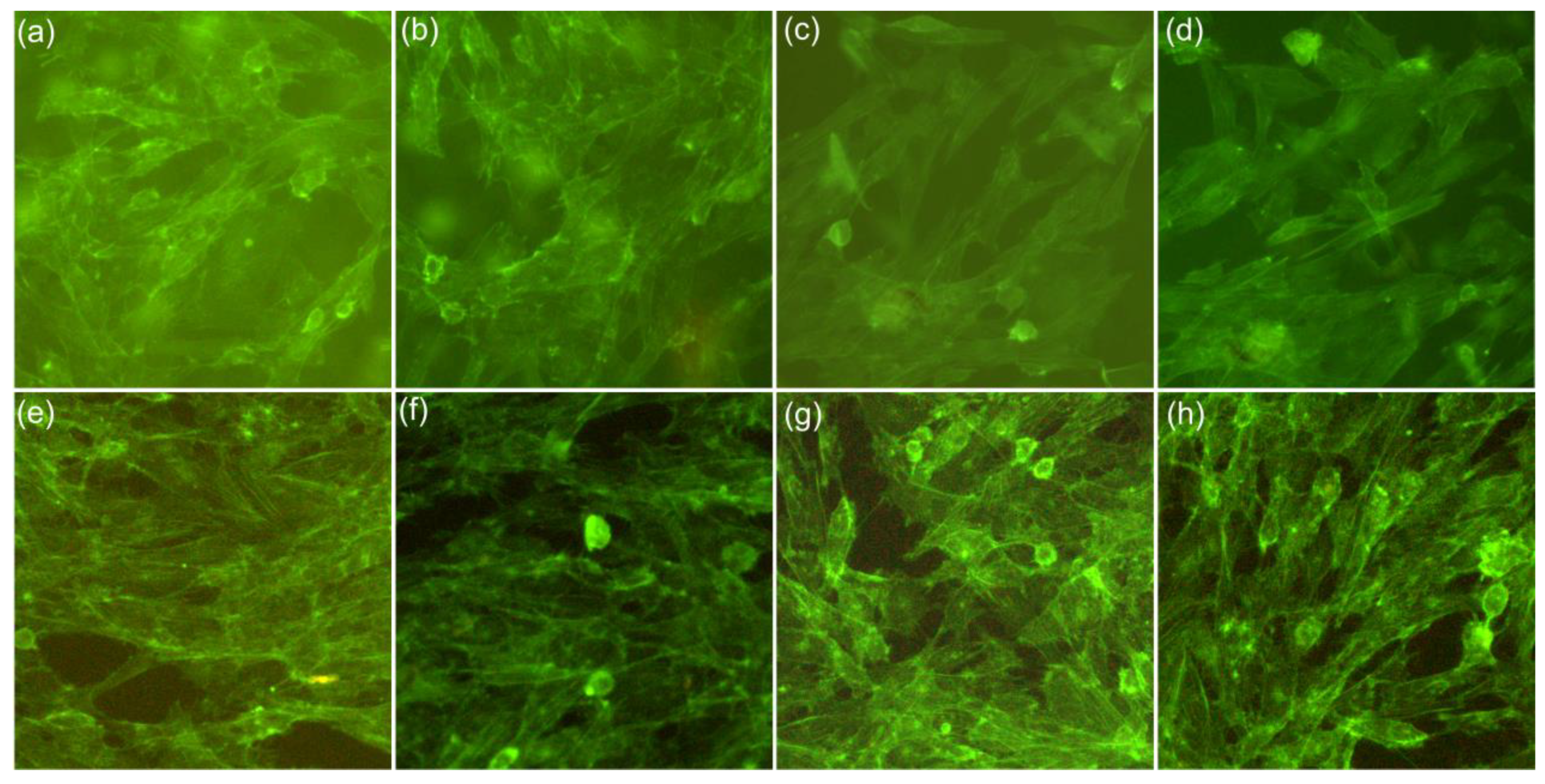Coatings 13 00409 g009 Coatings 13 00409 g009