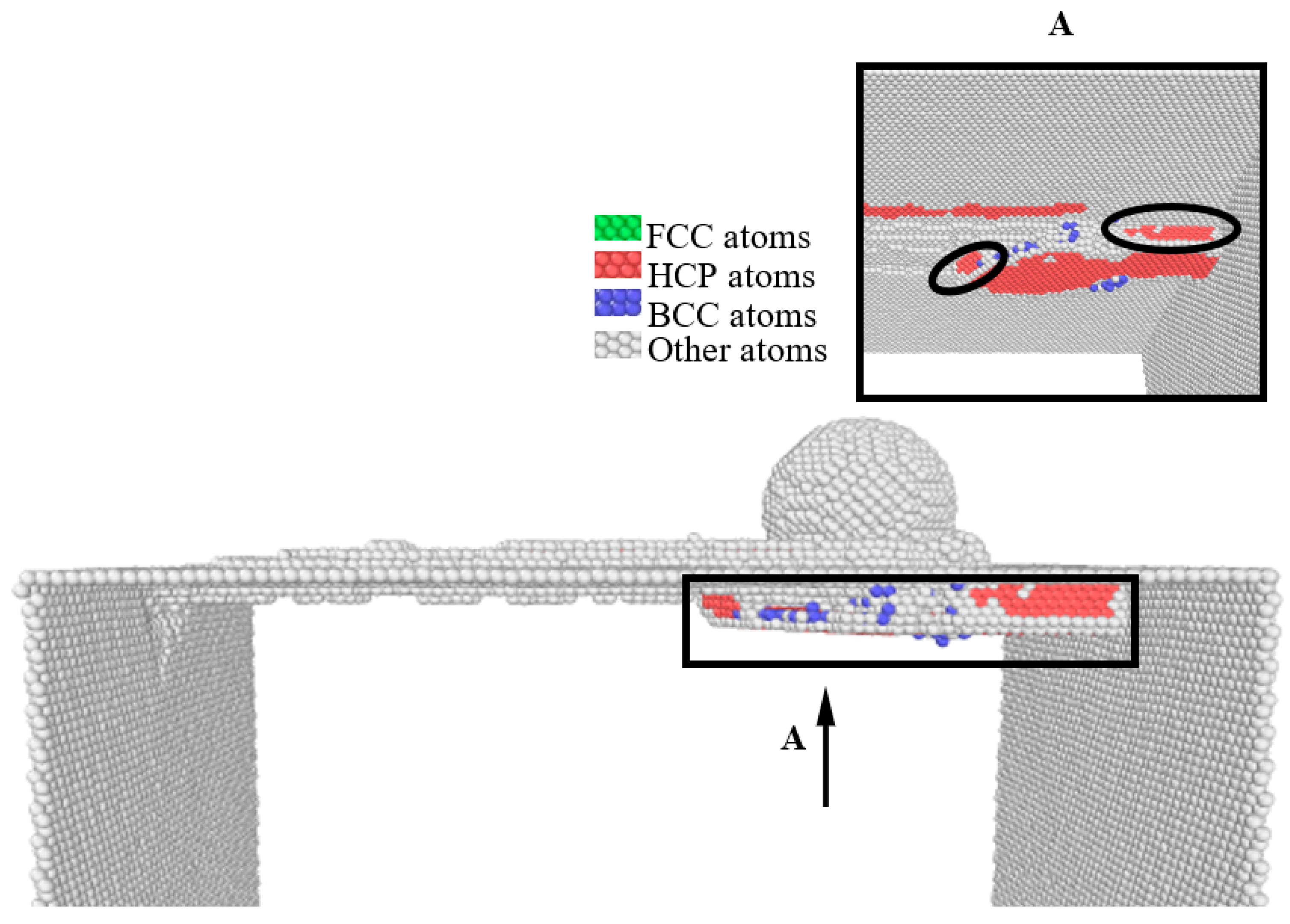 Coatings 13 00410 g005