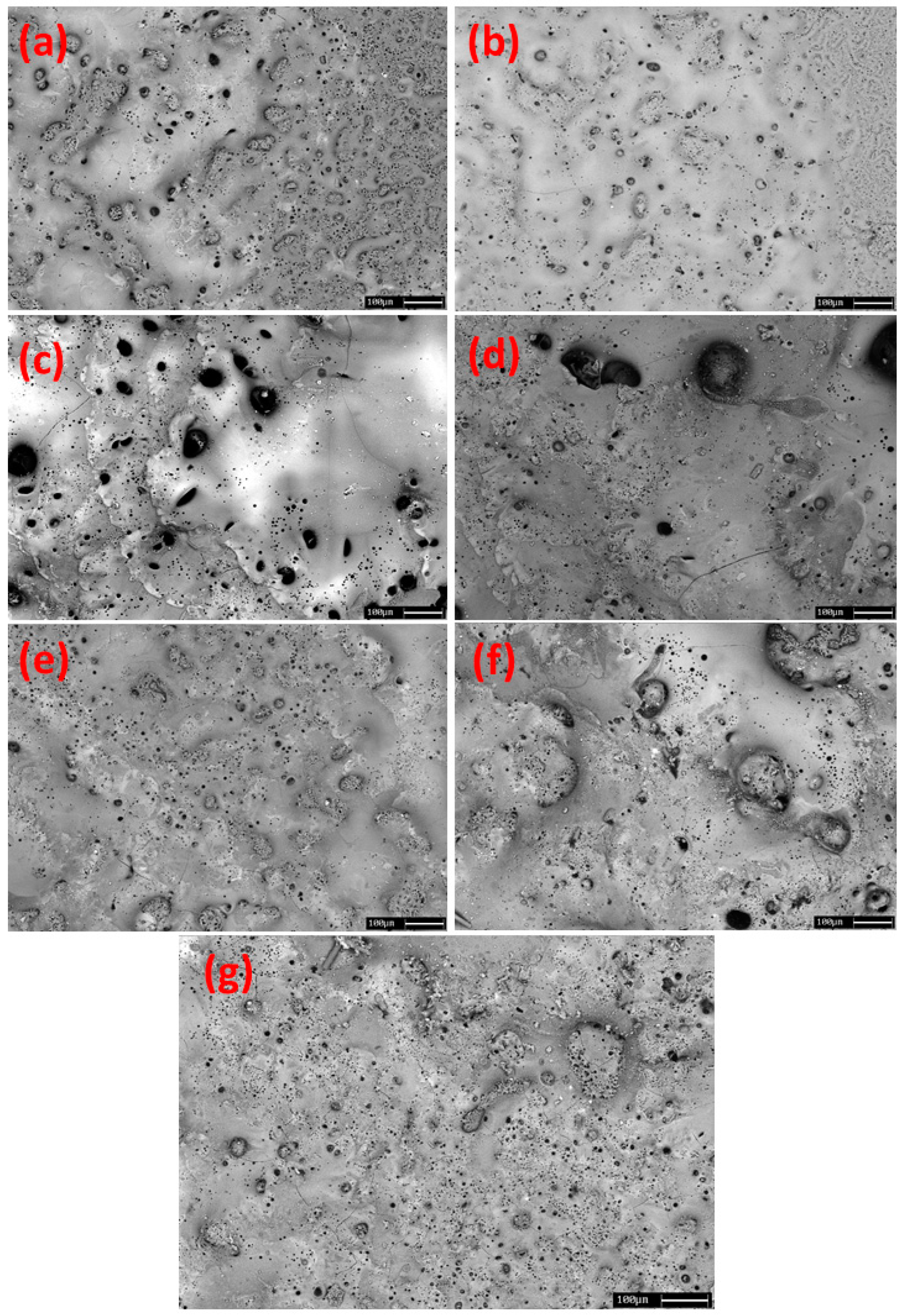 Coatings 13 00411 g004