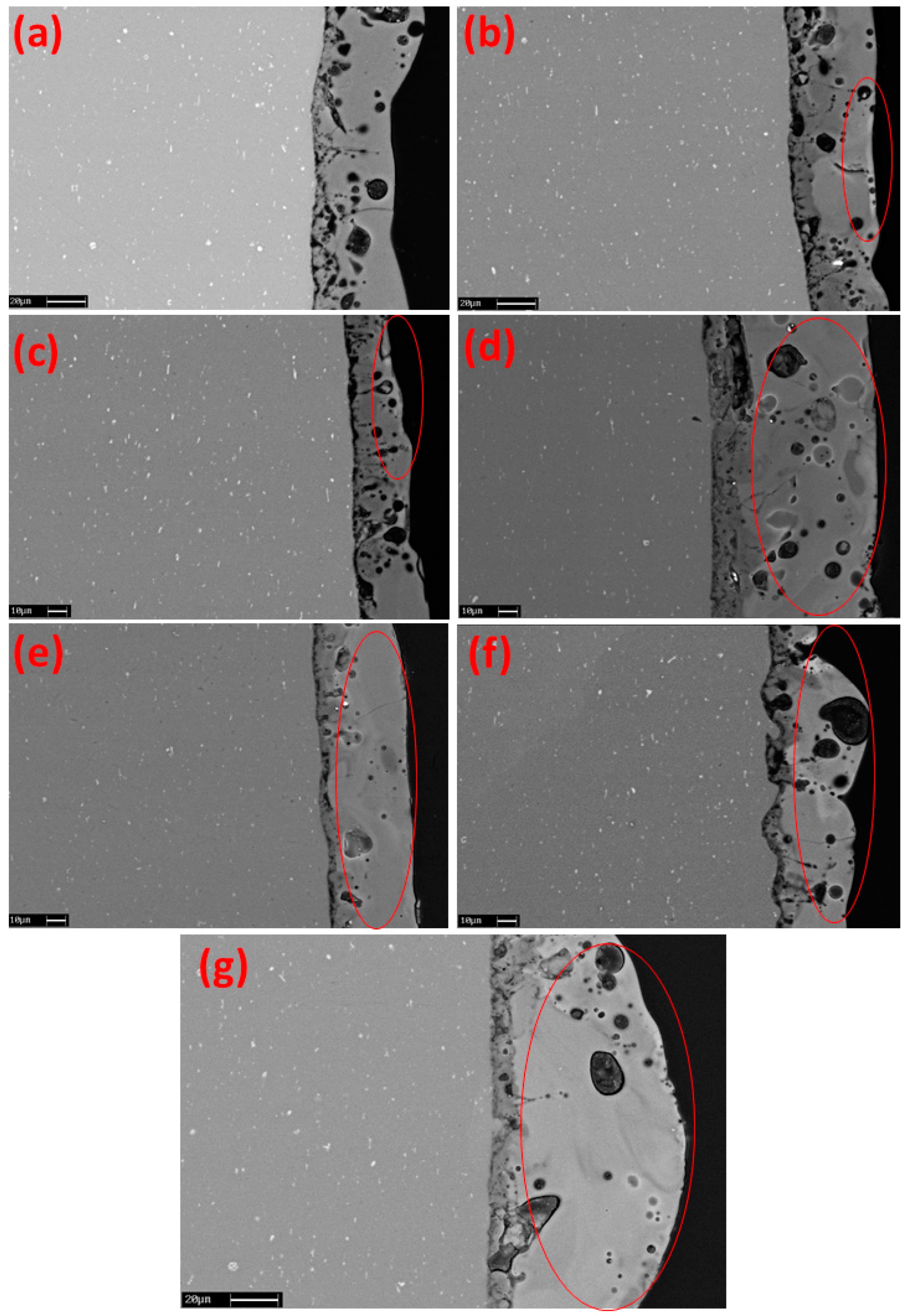 Coatings 13 00411 g005