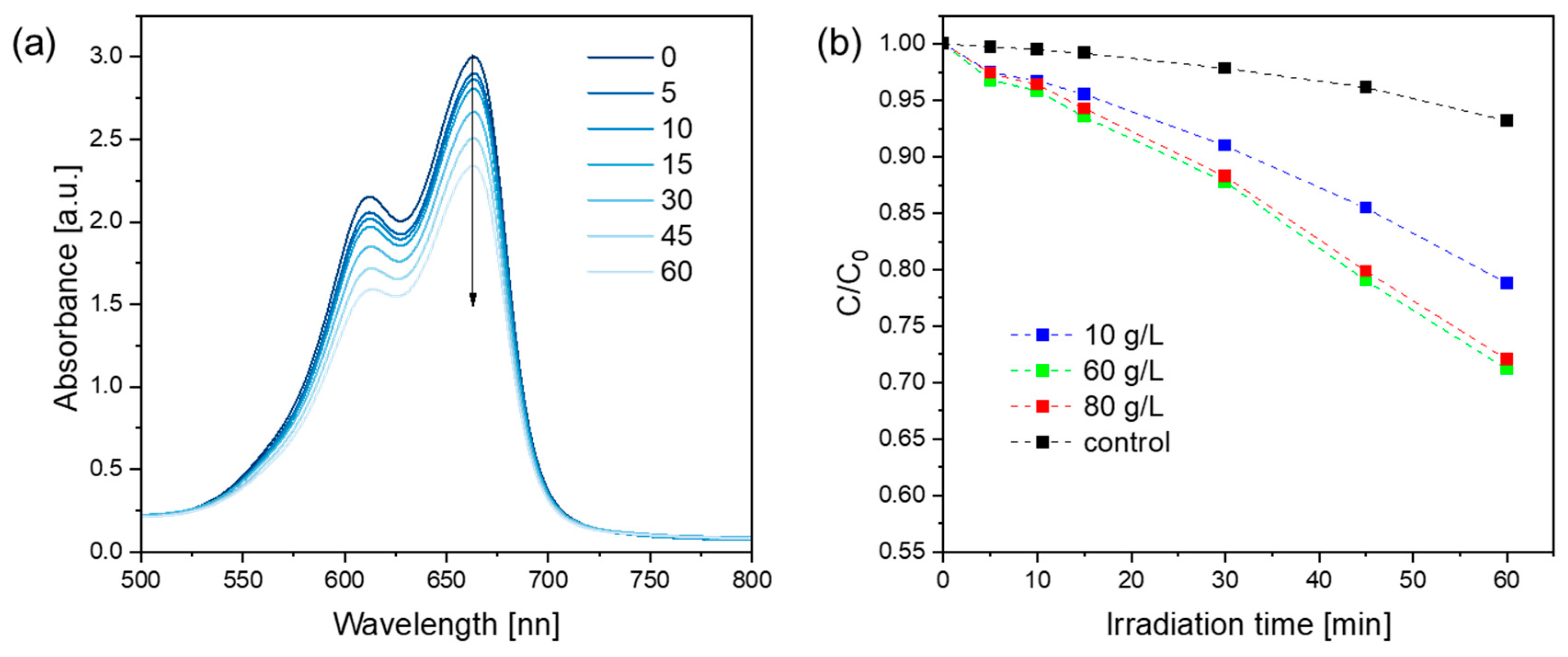 Coatings 13 00411 g009