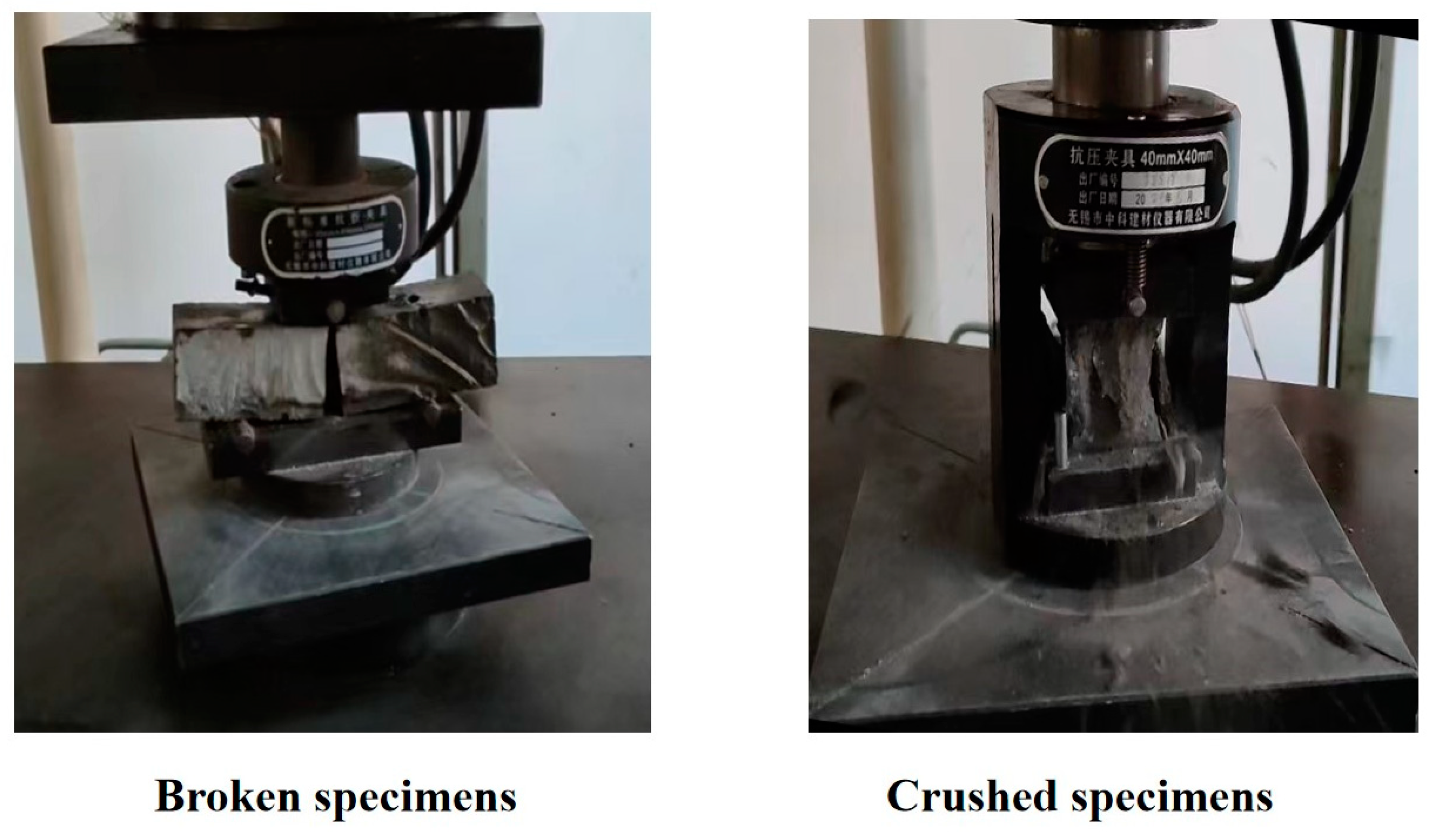 Coatings 13 00412 g002 550