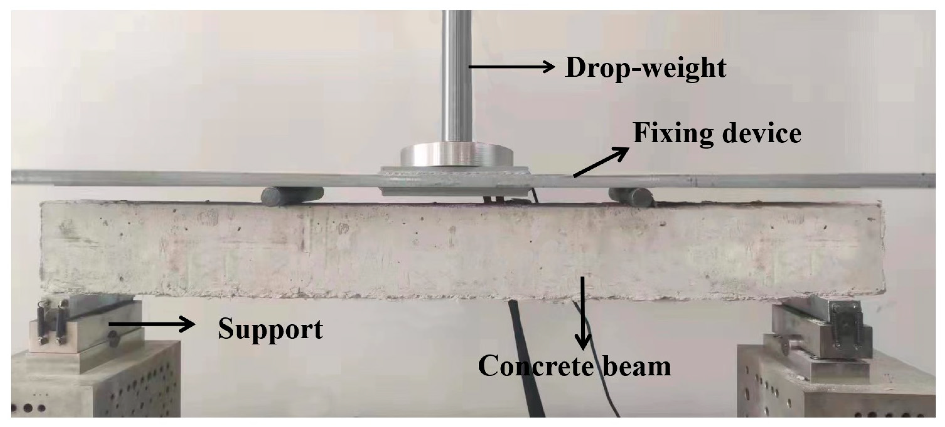 Coatings 13 00412 g003 550
