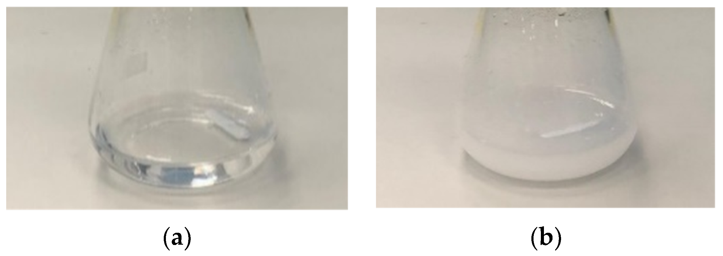 Coatings 13 00414 g001 550