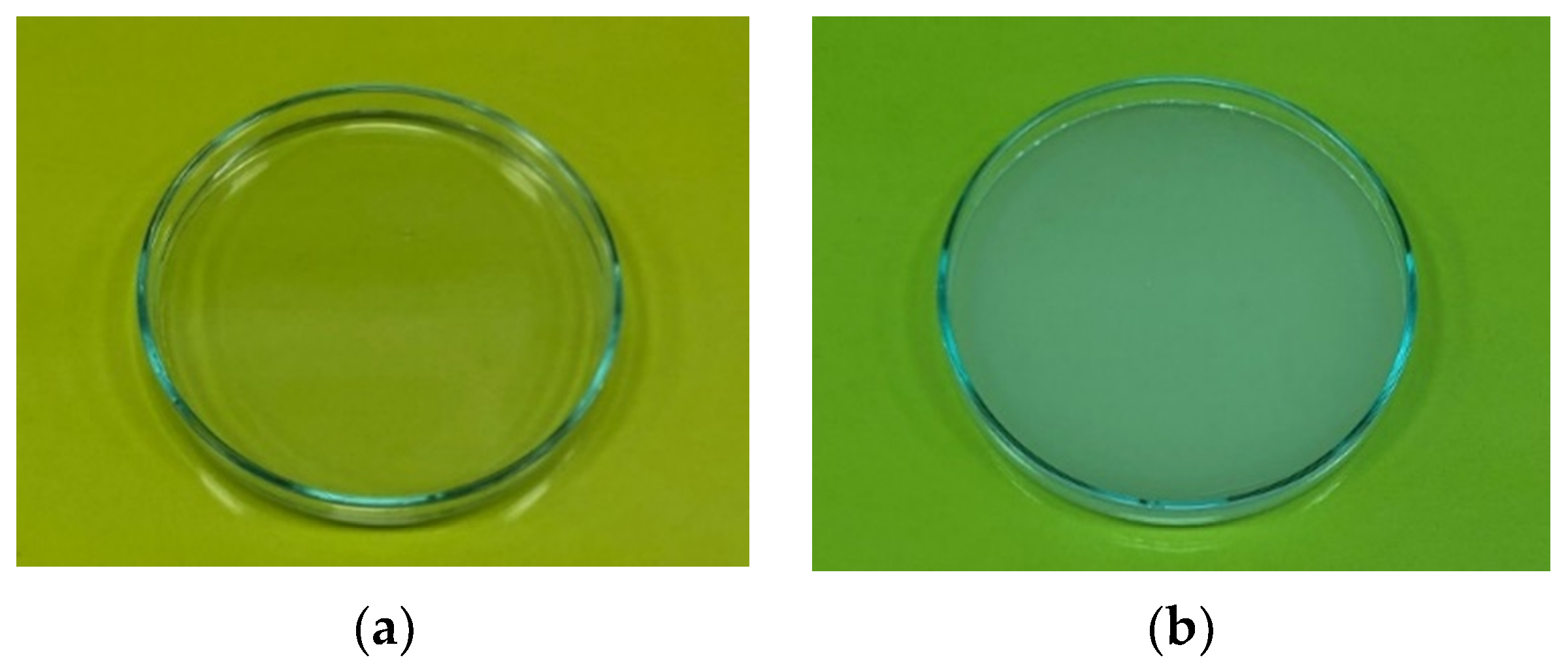 Coatings 13 00414 g003 550