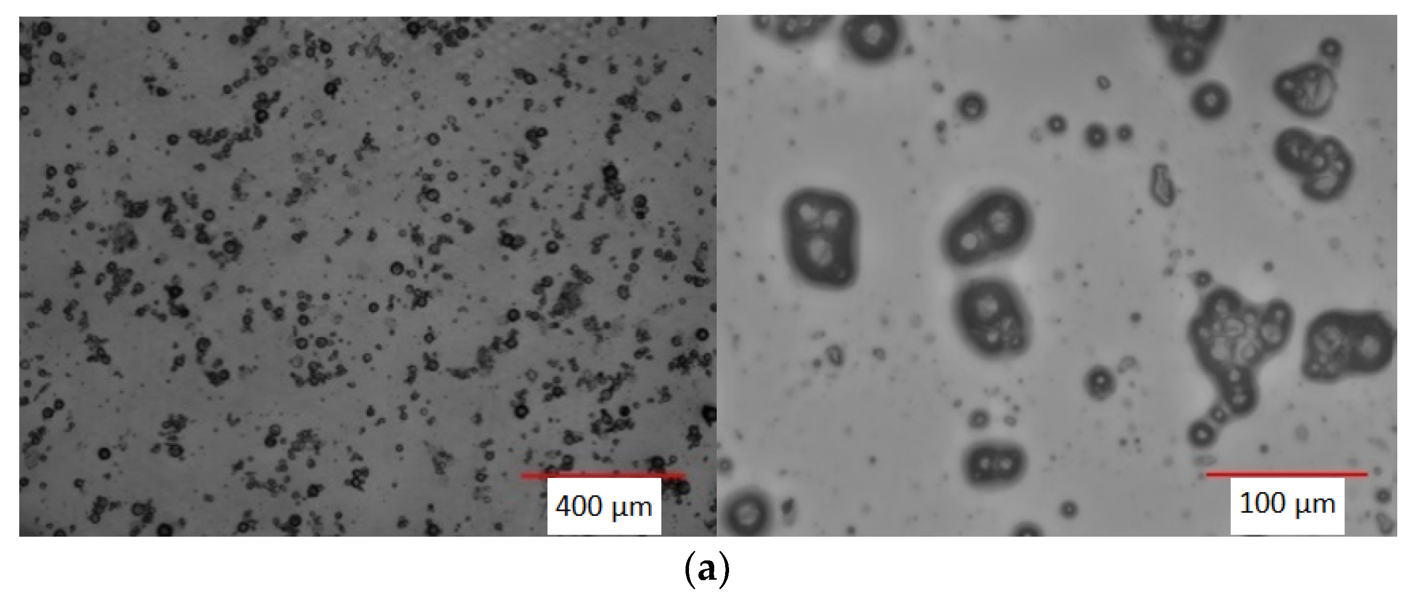 Coatings 13 00414 g009a 550