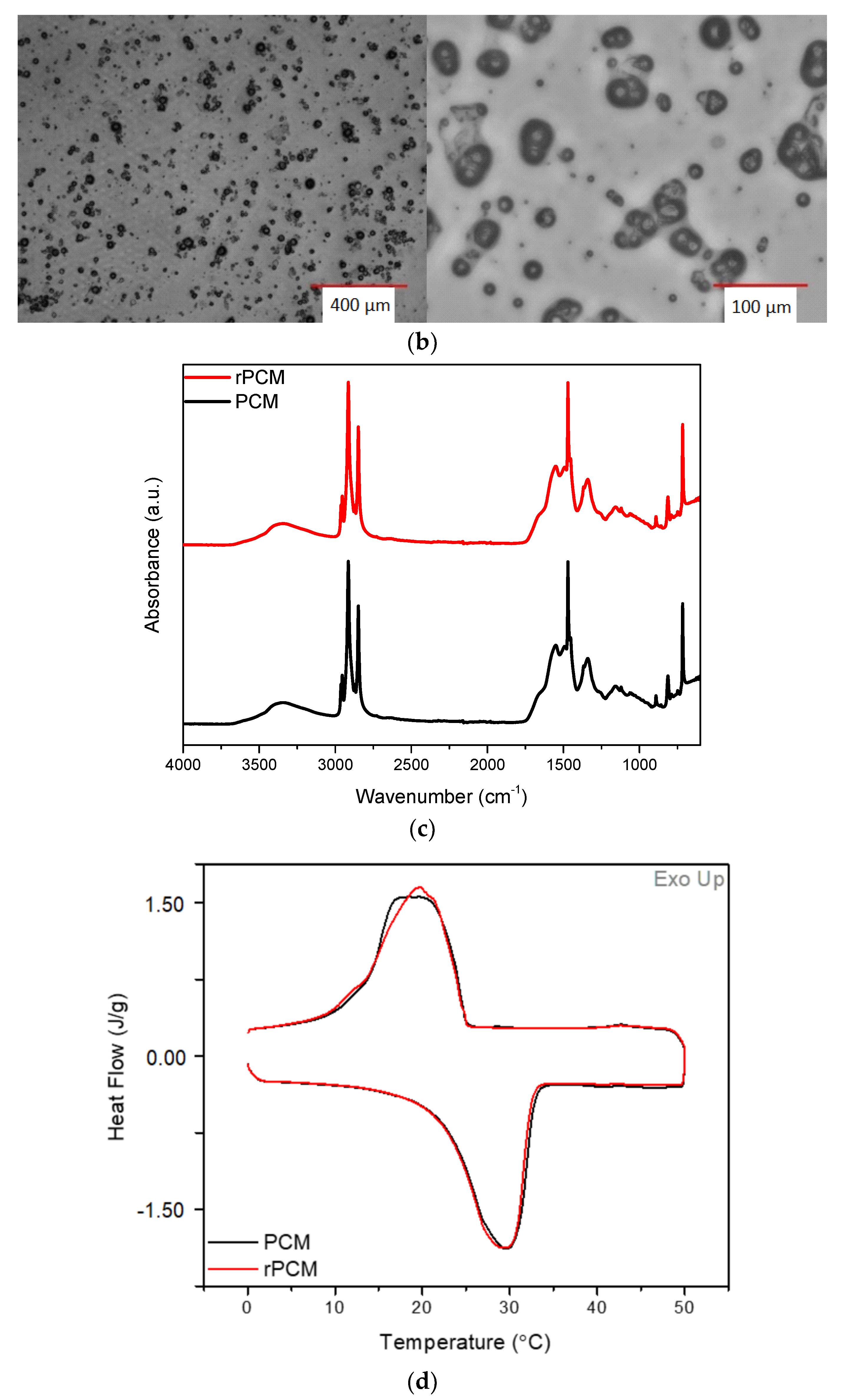 Coatings 13 00414 g009b 550