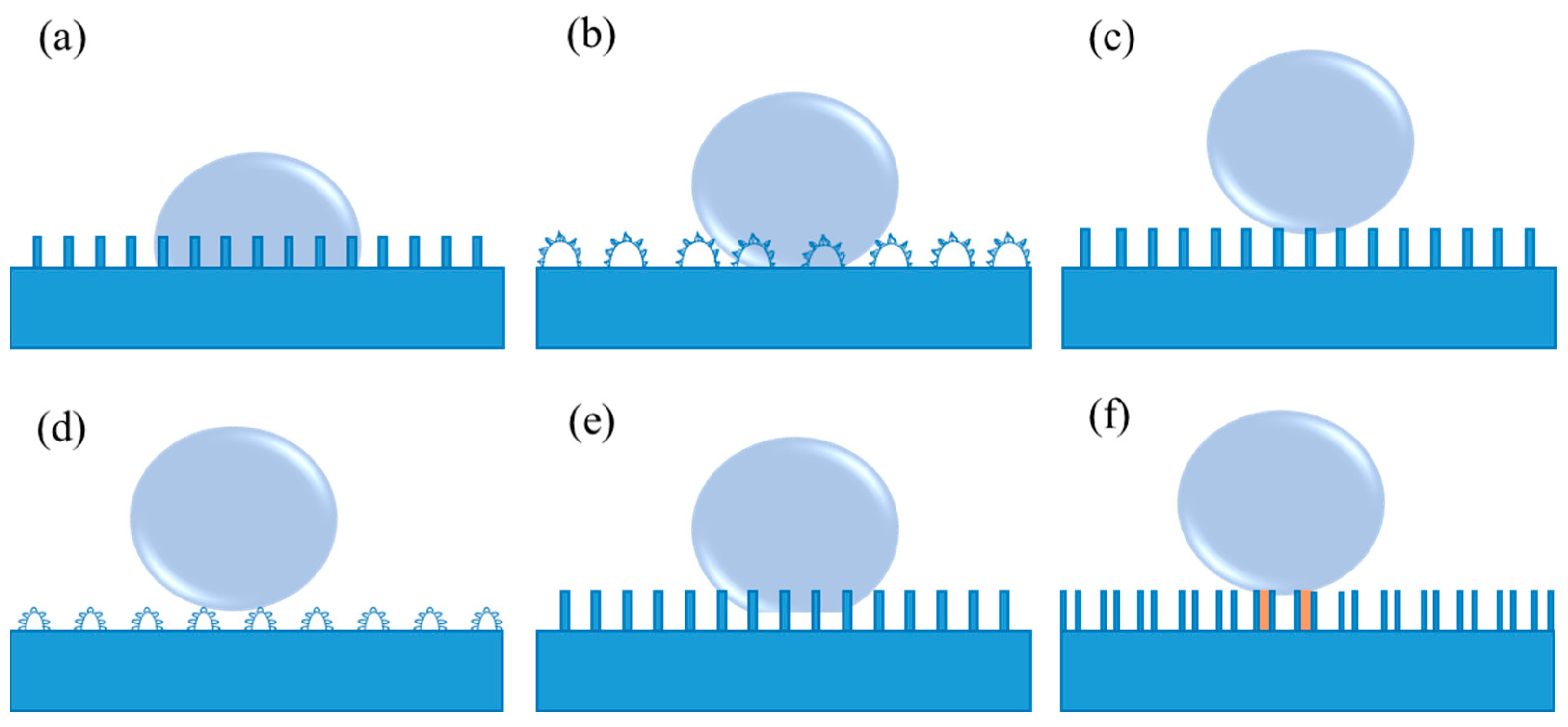 Coatings 13 00419 g002 Coatings 13 00419 g002