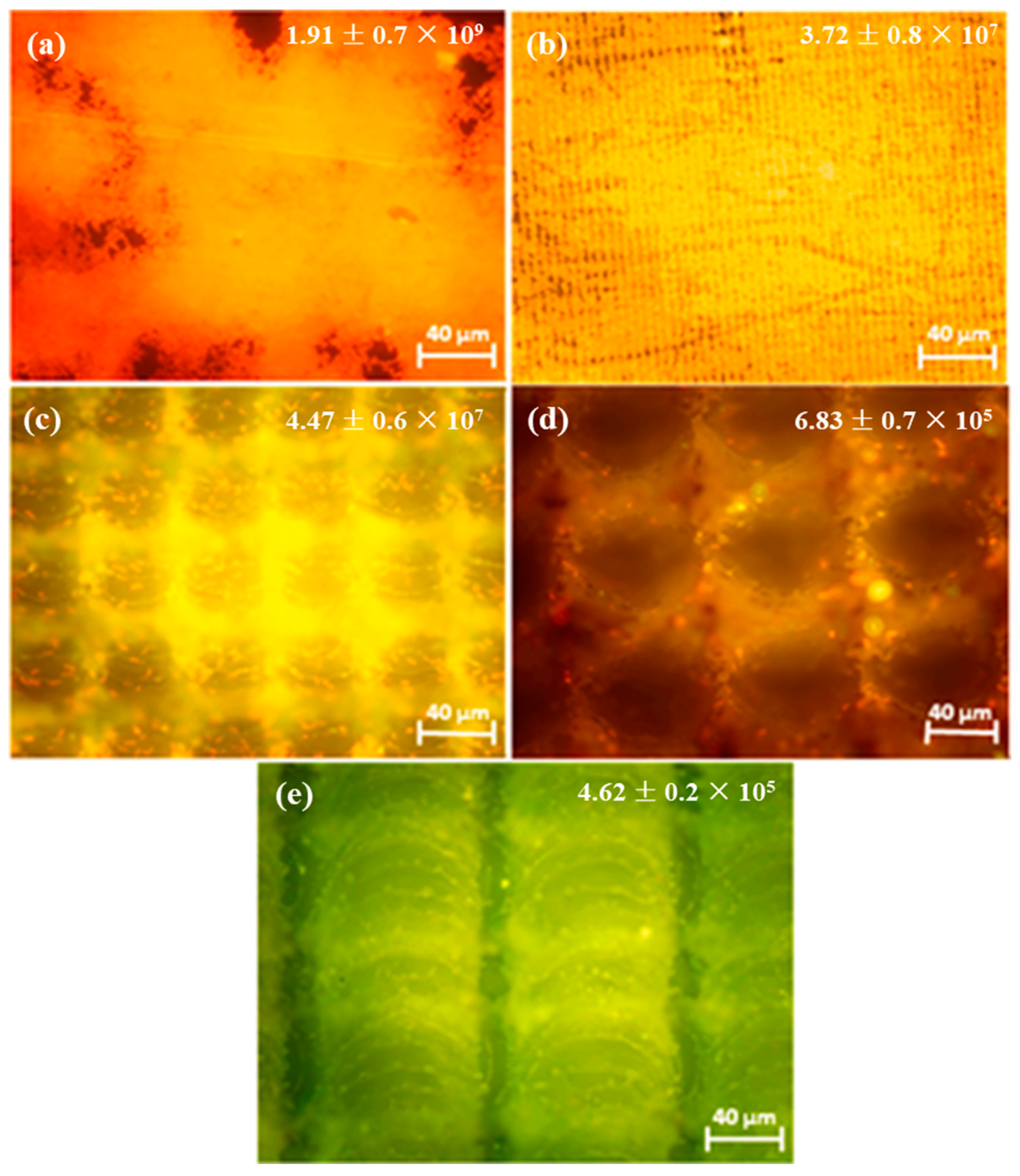 Coatings 13 00419 g007 Coatings 13 00419 g007