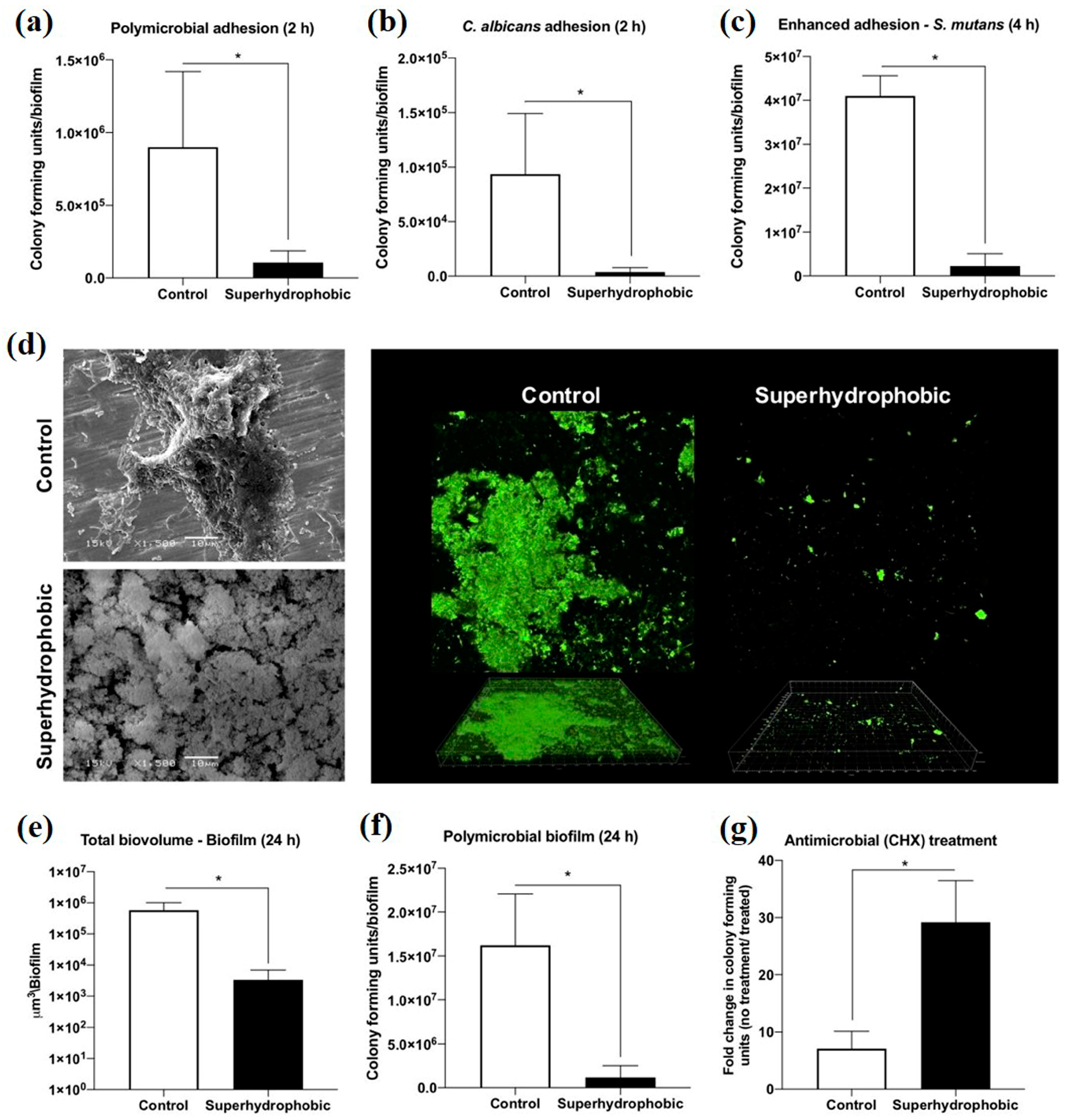 Coatings 13 00419 g009 Coatings 13 00419 g009