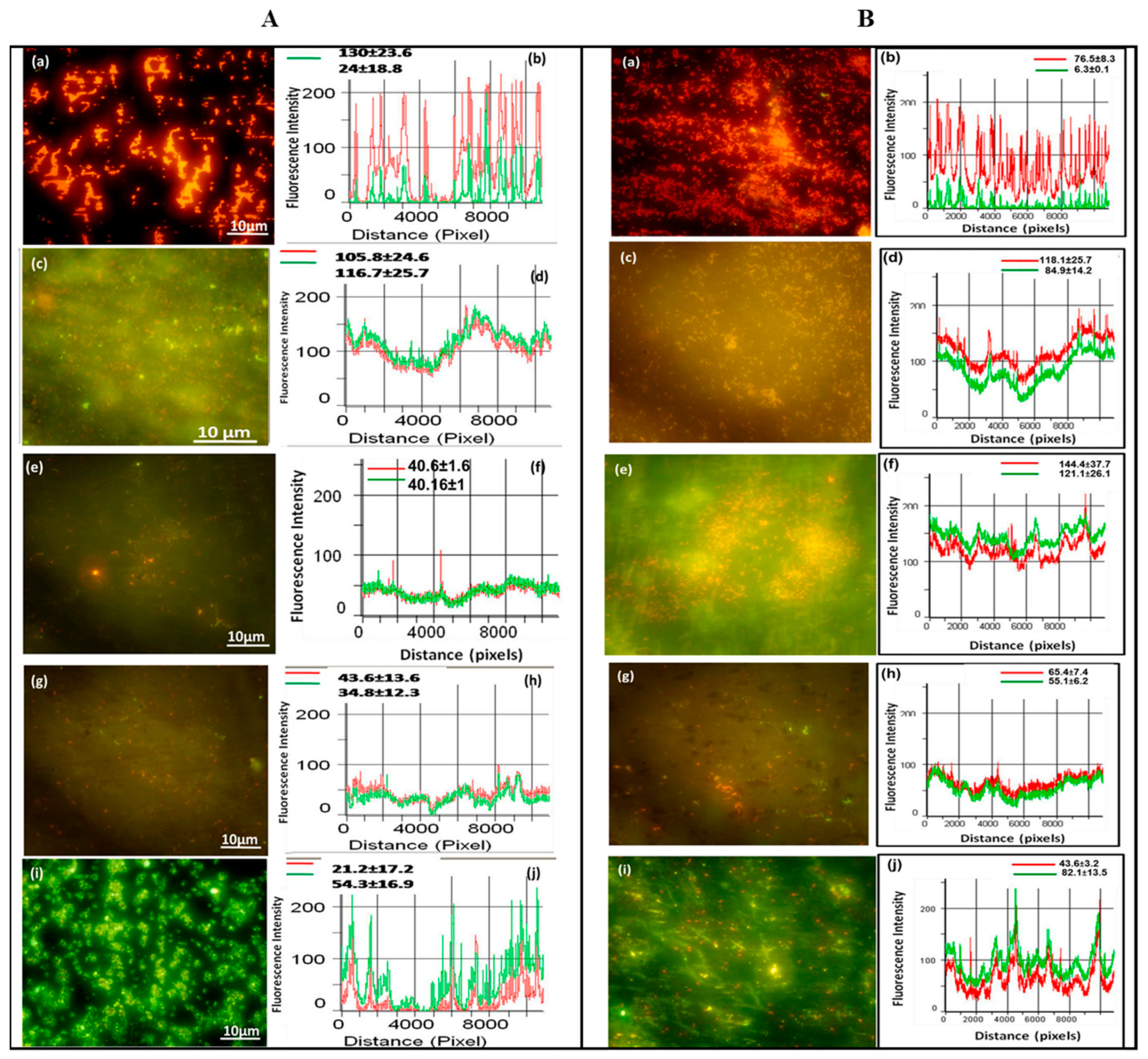 Coatings 13 00419 g011 Coatings 13 00419 g011