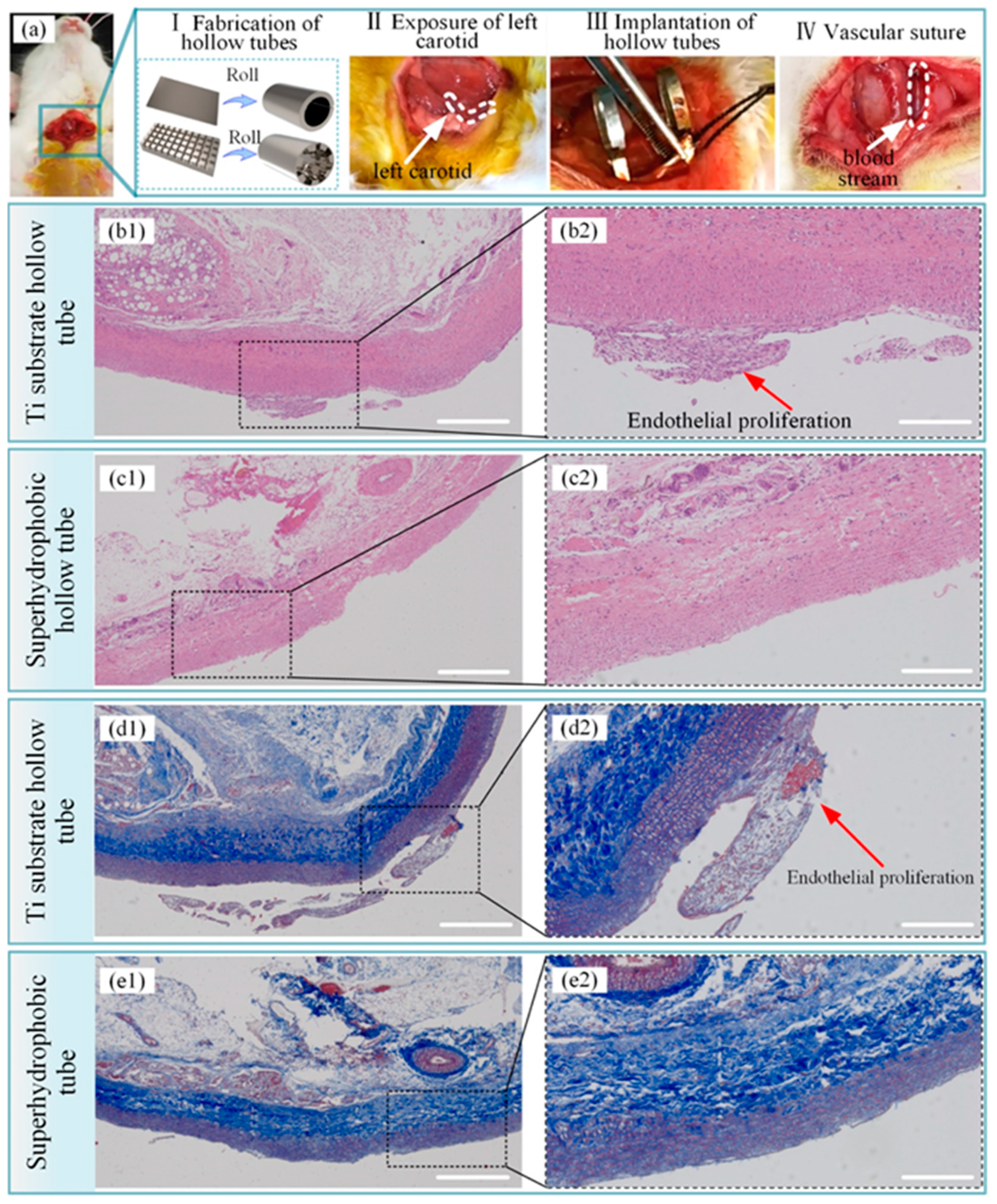 Coatings 13 00419 g014 Coatings 13 00419 g014