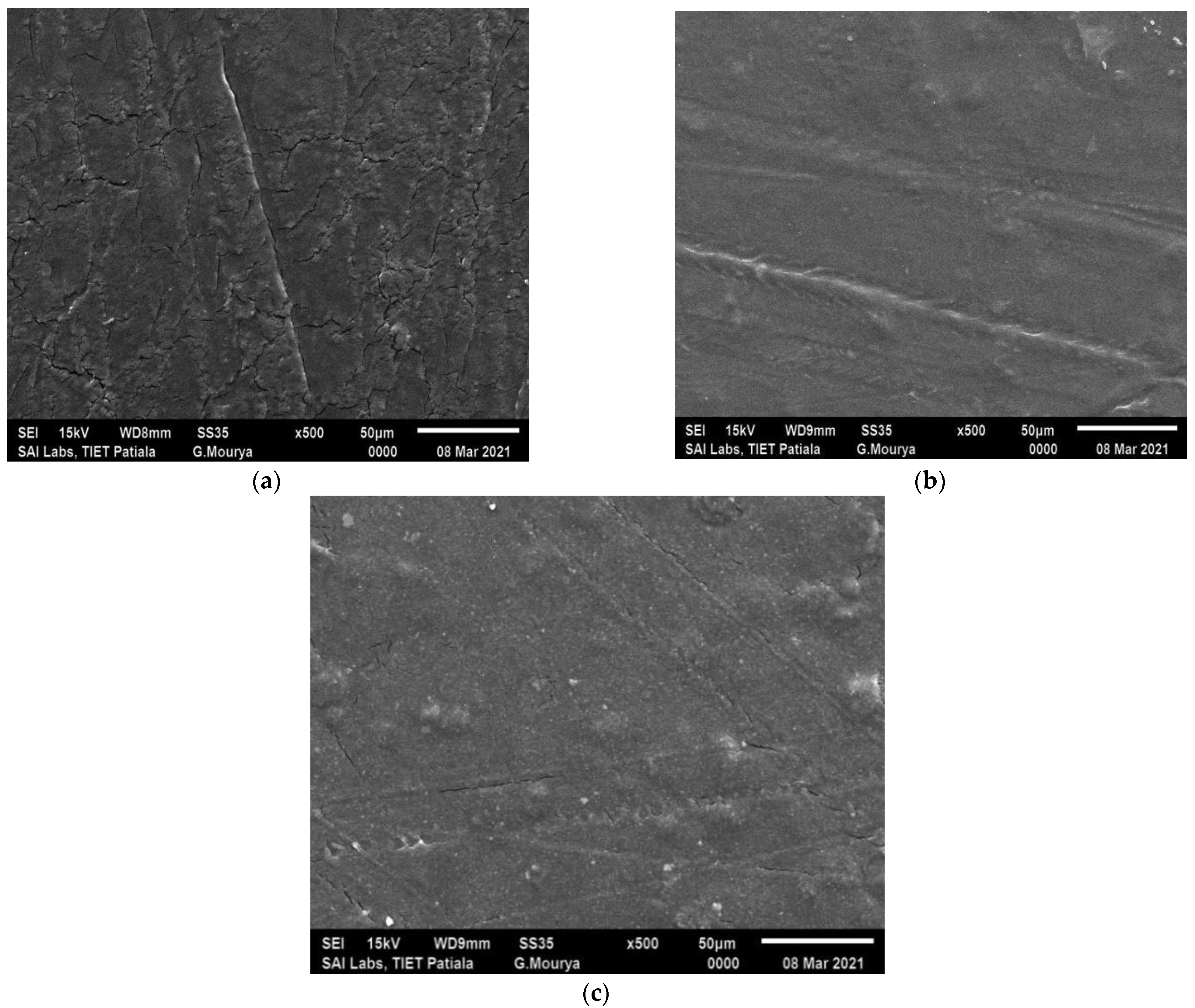 Coatings 13 00420 g005