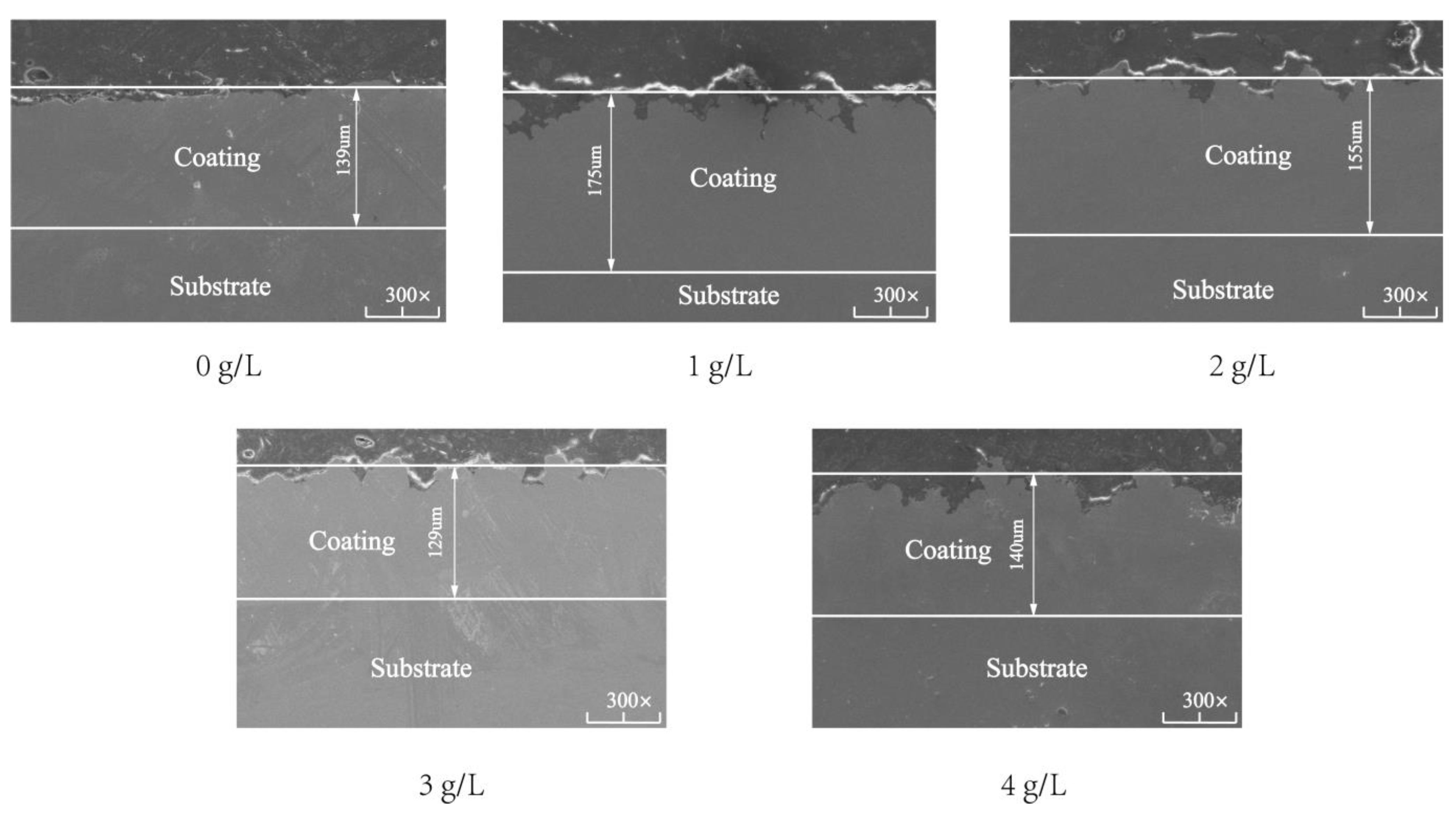Coatings 13 00422 g004