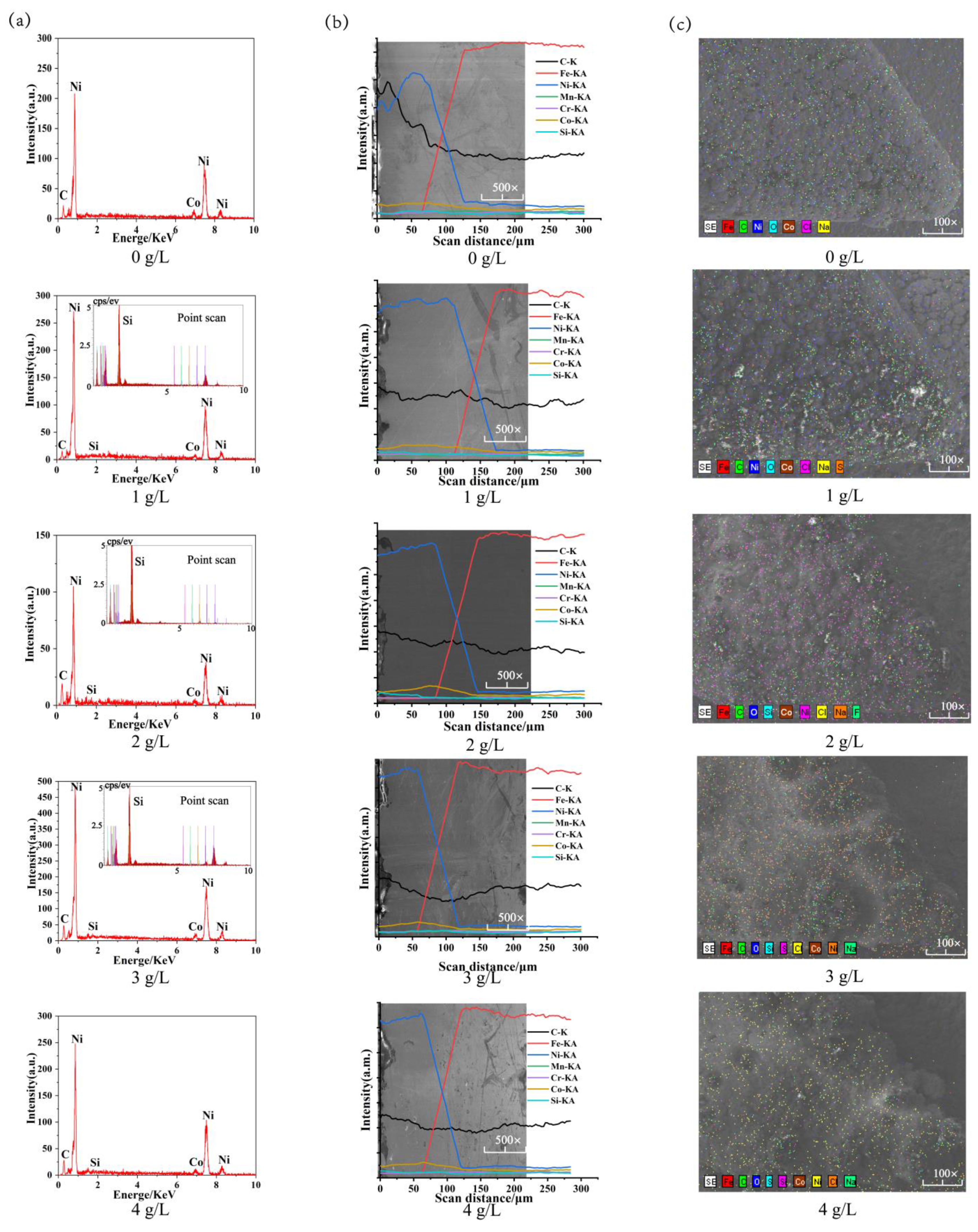 Coatings 13 00422 g005