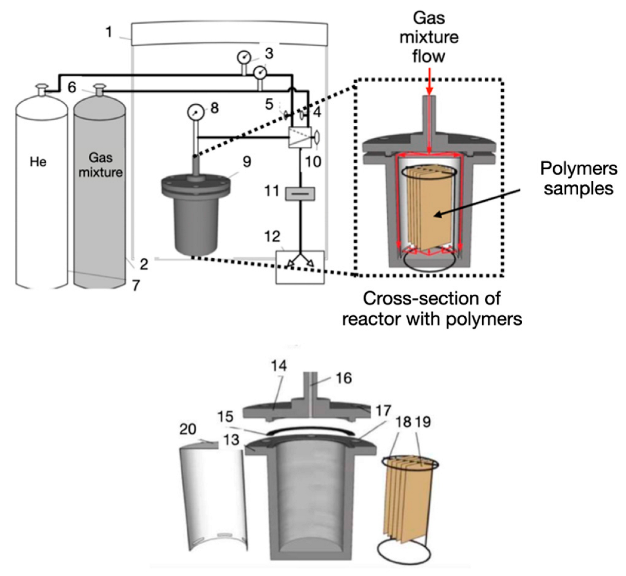 Coatings 13 00424 g001