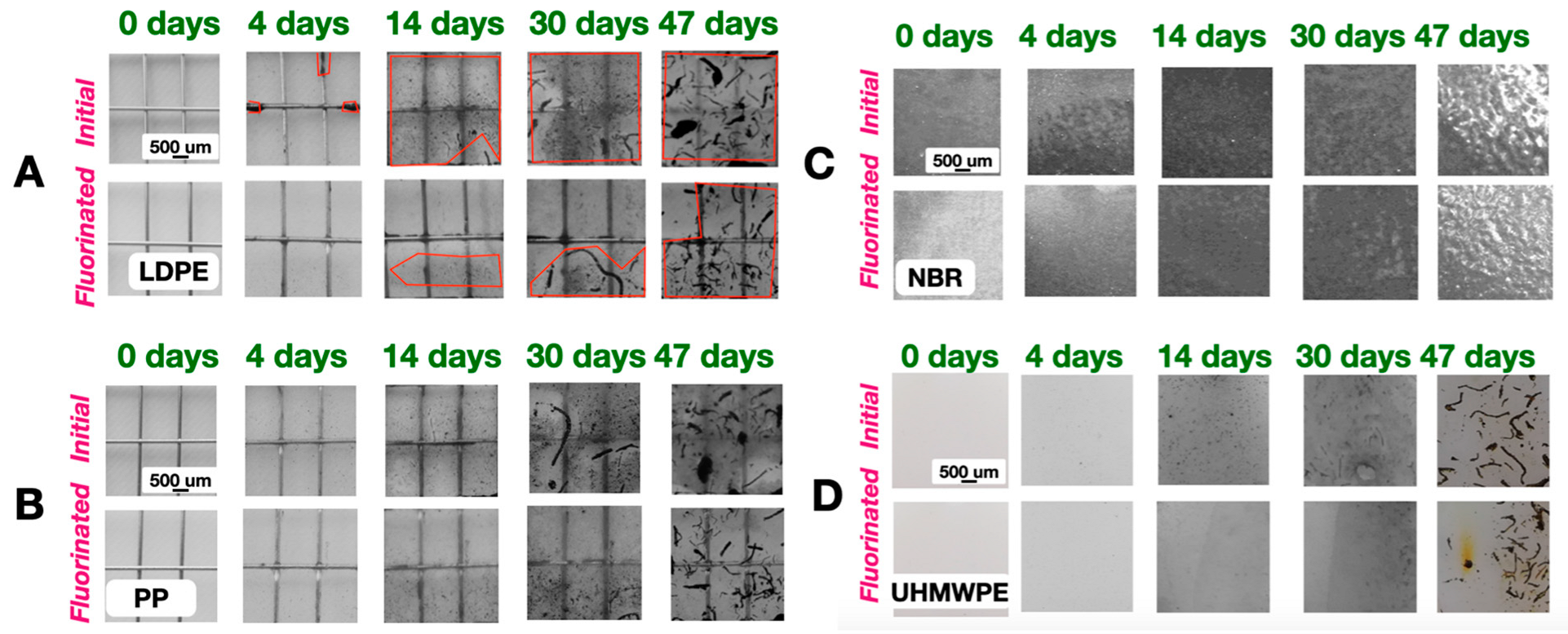 Coatings 13 00424 g009