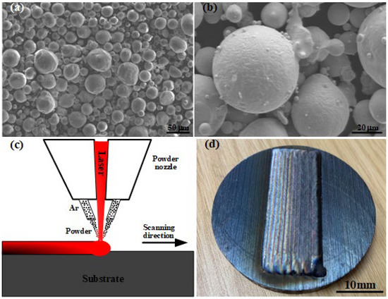 Influence of Al Addition on the Microstructure and Wear
