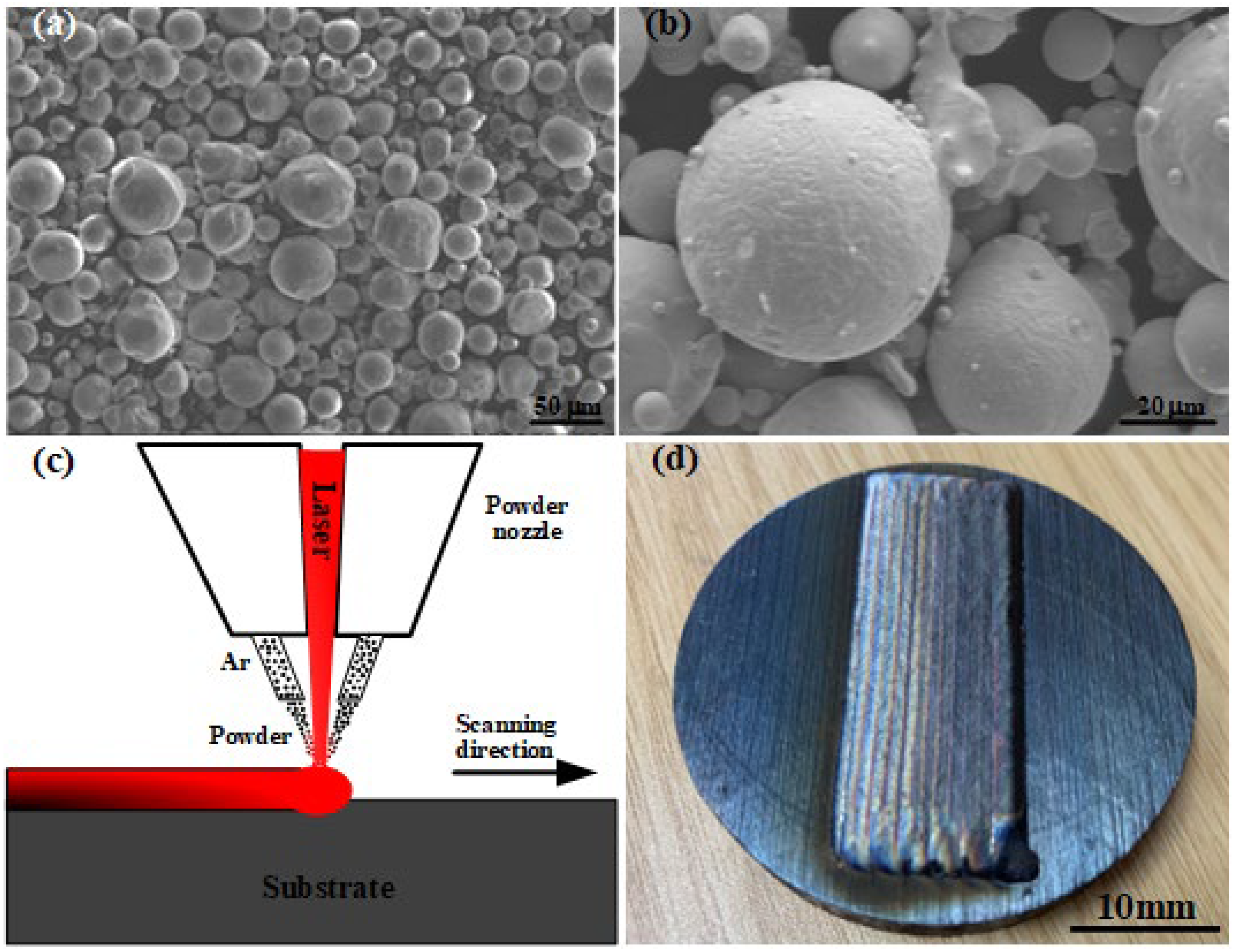 Coatings 13 00426 g001 550