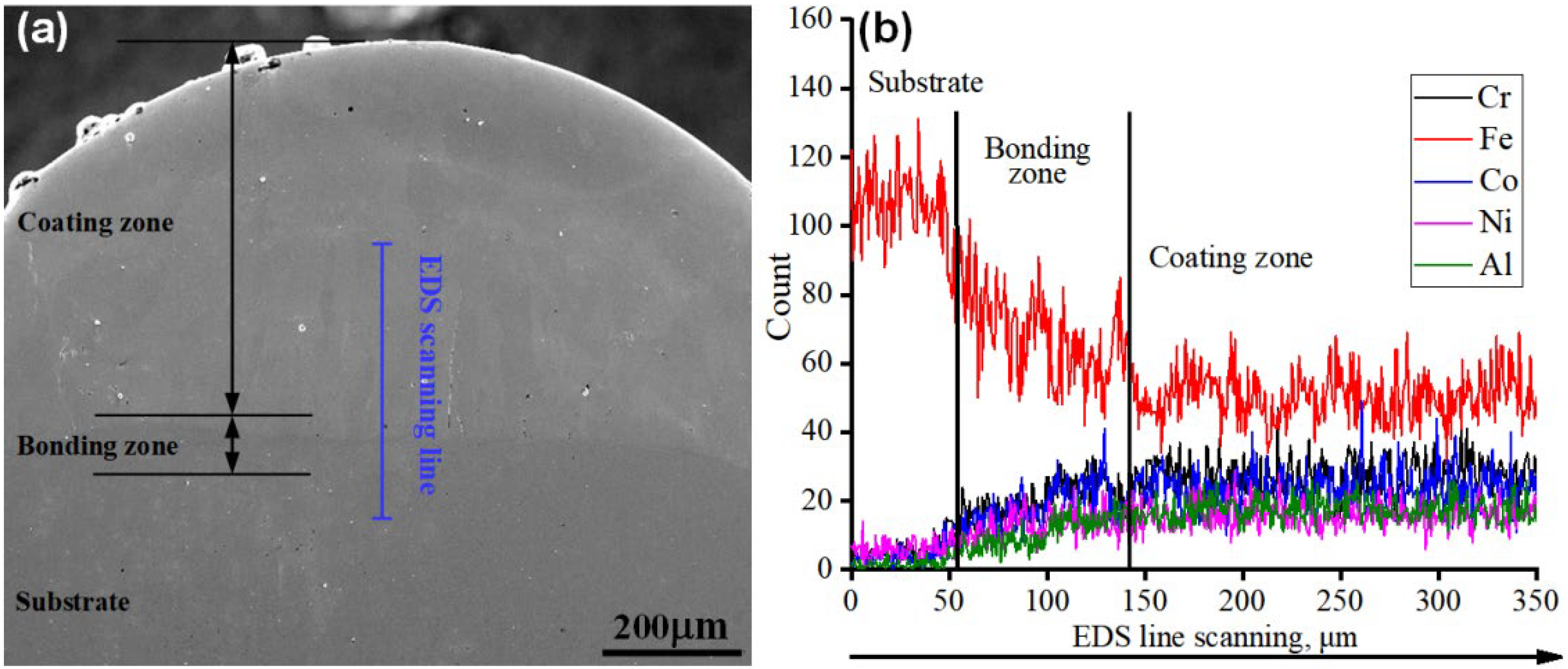 Coatings 13 00426 g003 550