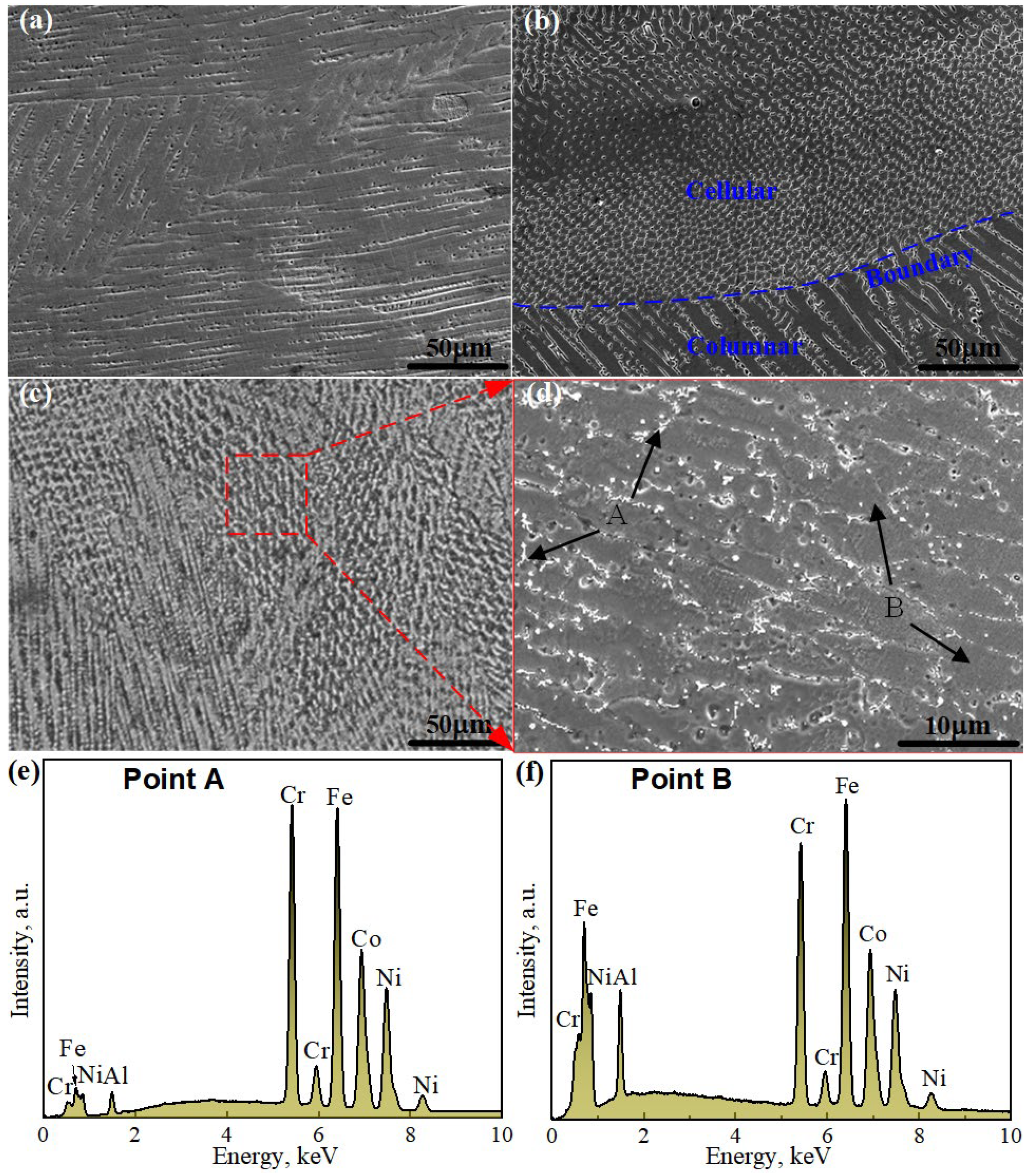 Coatings 13 00426 g005 550