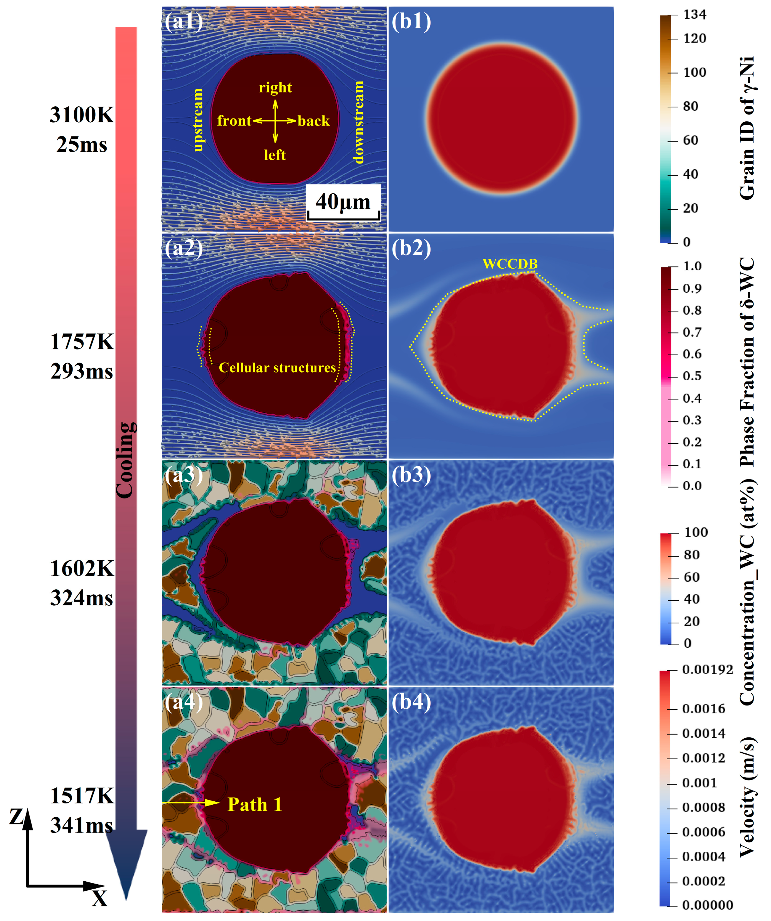 Coatings 13 00432 g005 Coatings 13 00432 g005