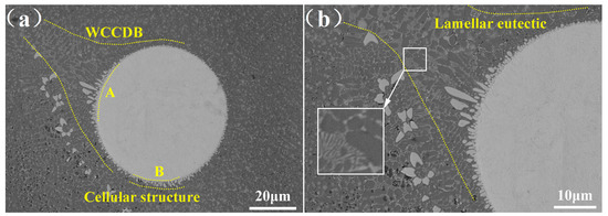Effects of WC Particles on the Microstructure of IN718/WC Composite ...
