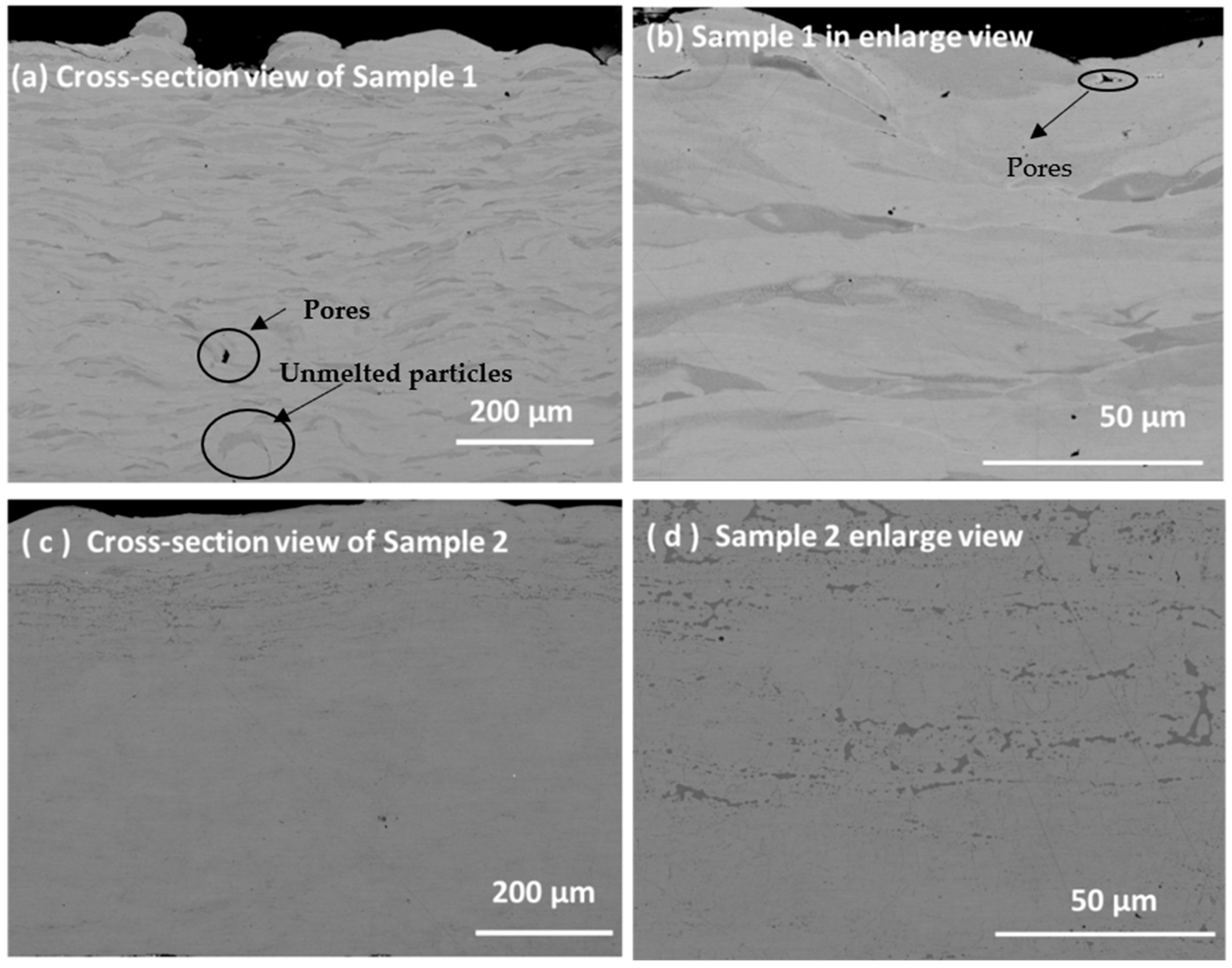 Coatings 13 00433 g001