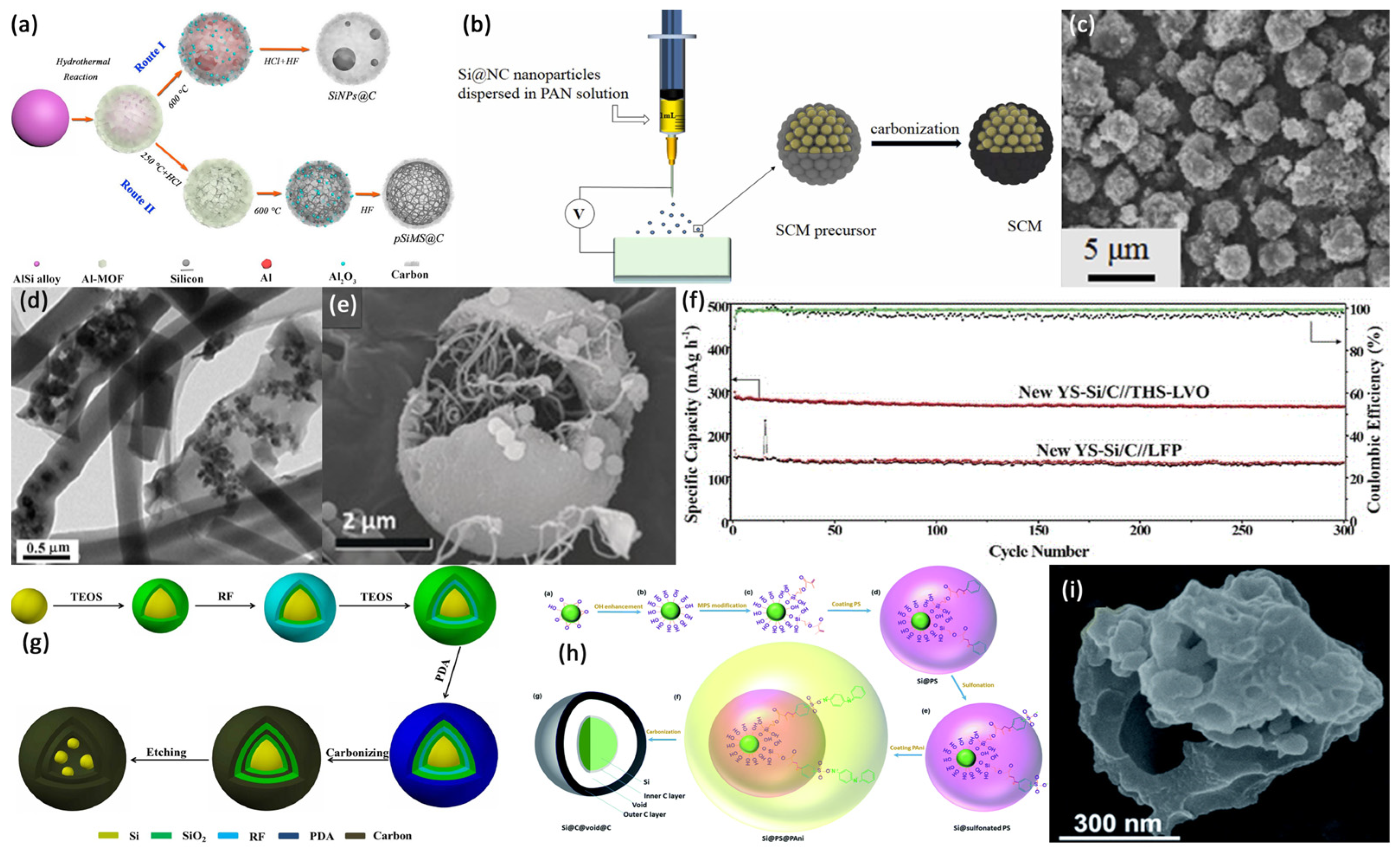 Coatings 13 00436 g001 Coatings 13 00436 g001