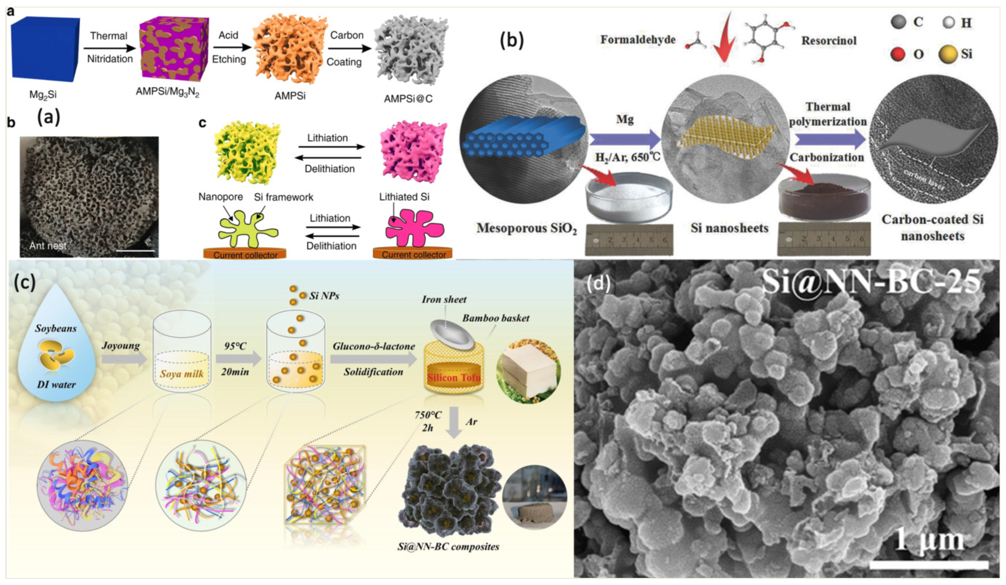 Coatings 13 00436 g002 Coatings 13 00436 g002