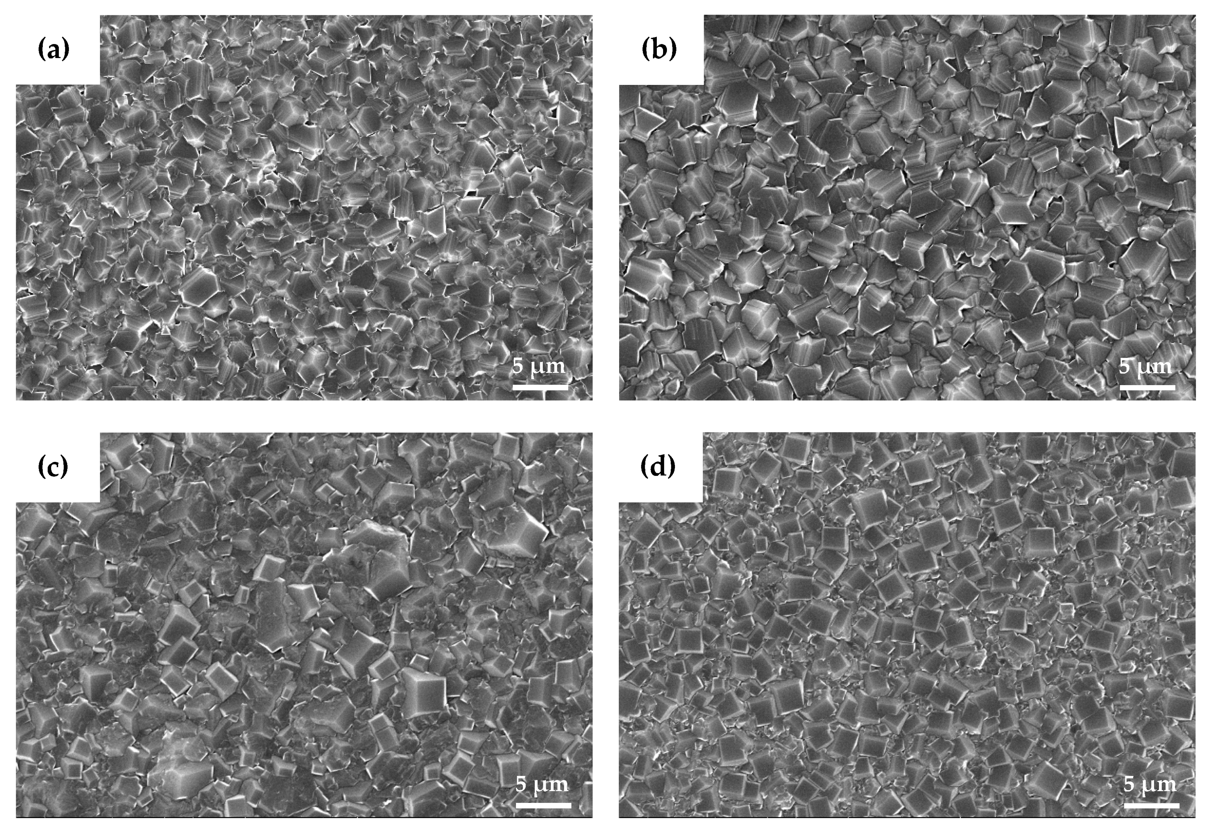 Coatings 13 00441 g004
