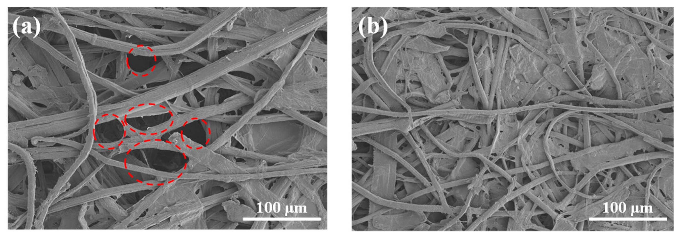 Coatings 13 00443 g003