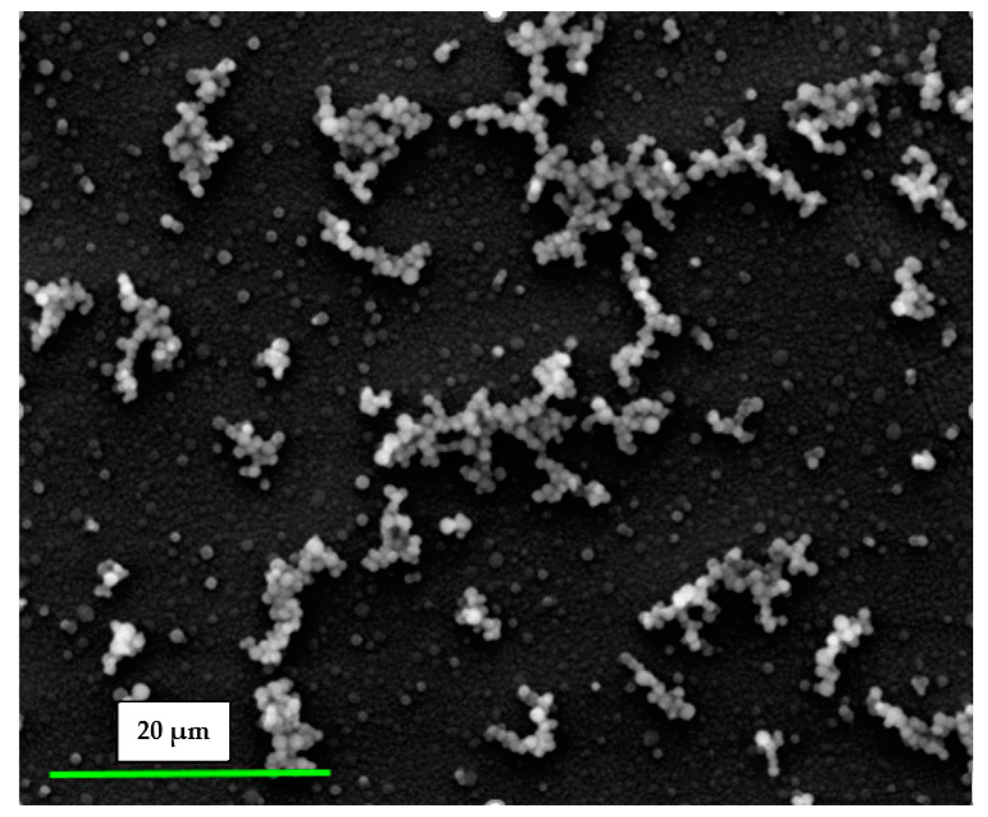 Coatings 13 00449 g002 Coatings 13 00449 g002