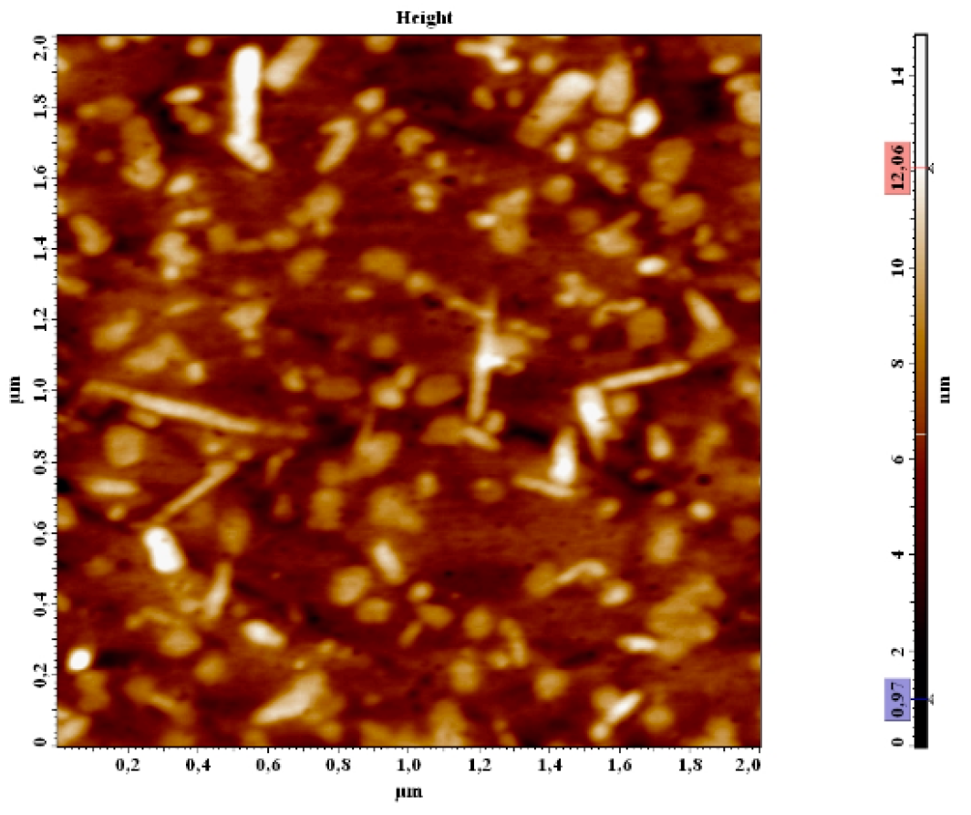Coatings 13 00449 g010 Coatings 13 00449 g010