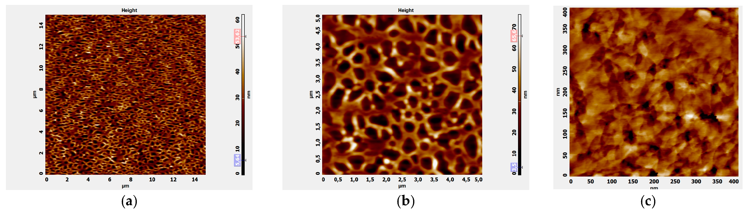 Coatings 13 00449 g012 Coatings 13 00449 g012