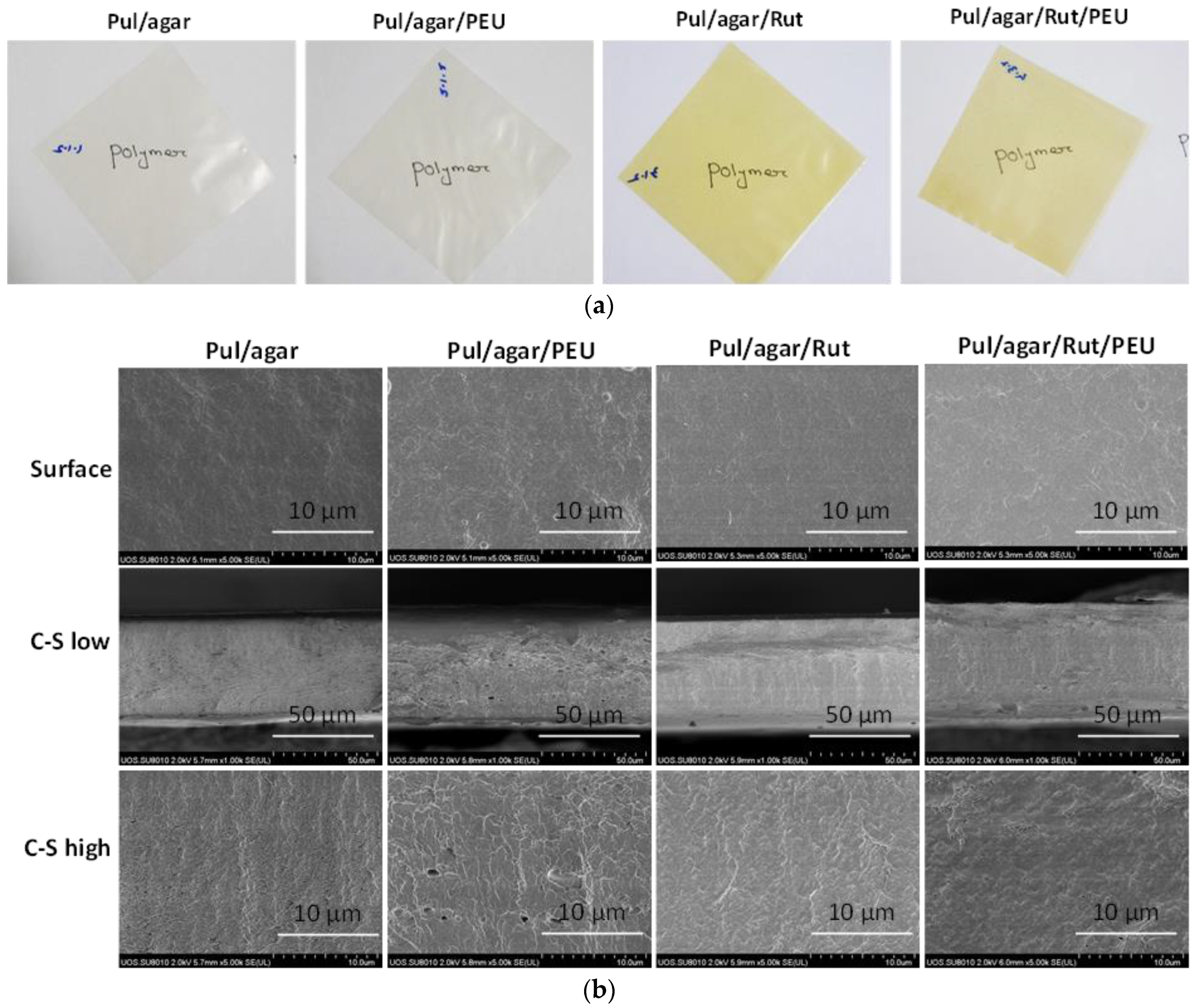 Coatings 13 00460 g001 Coatings 13 00460 g001
