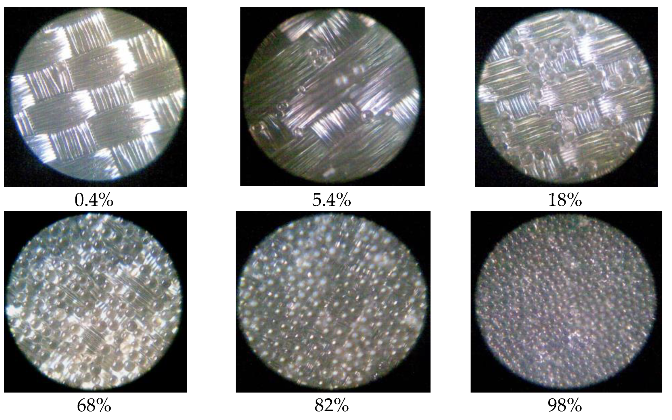 Coatings 13 00462 g006