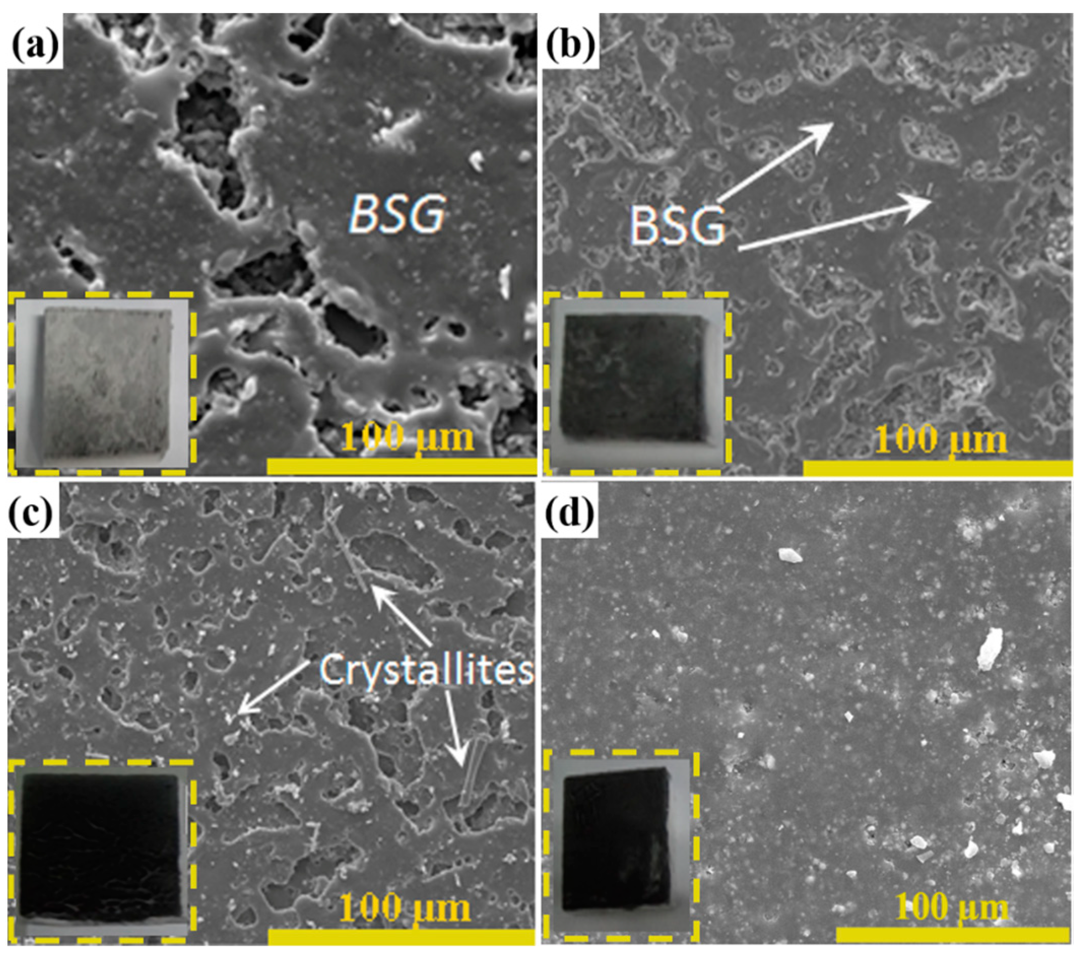 Coatings 13 00463 g002