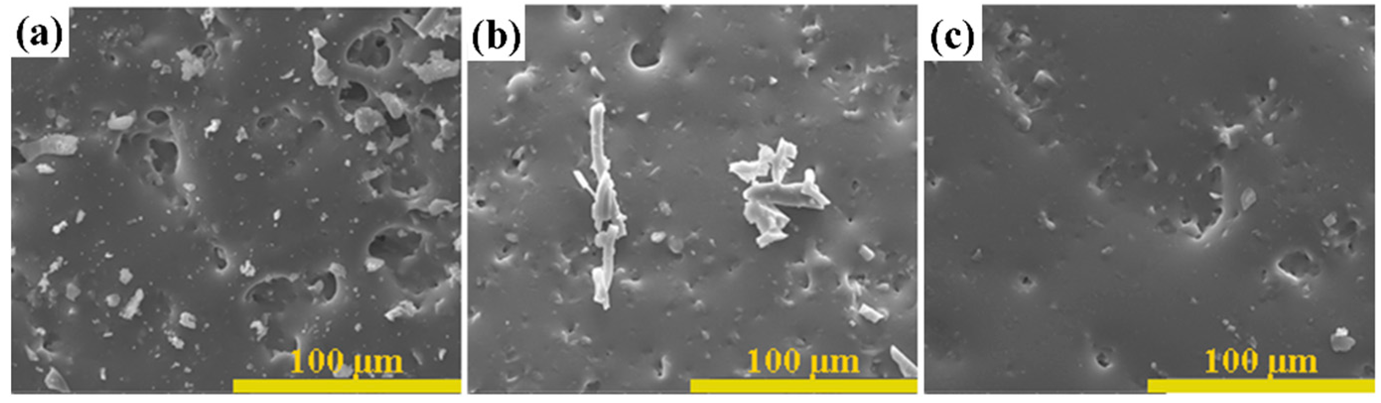 Coatings 13 00463 g006